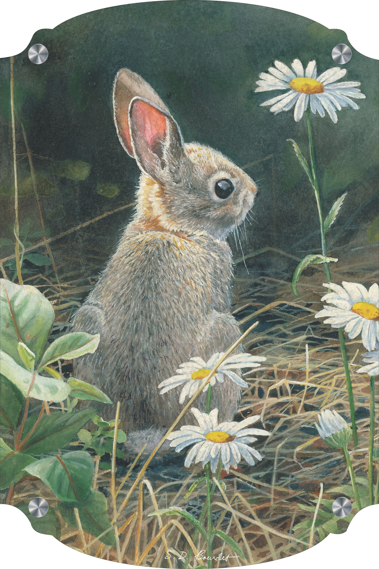 Young Cottontail Acrylic Wall Art & Home Decor