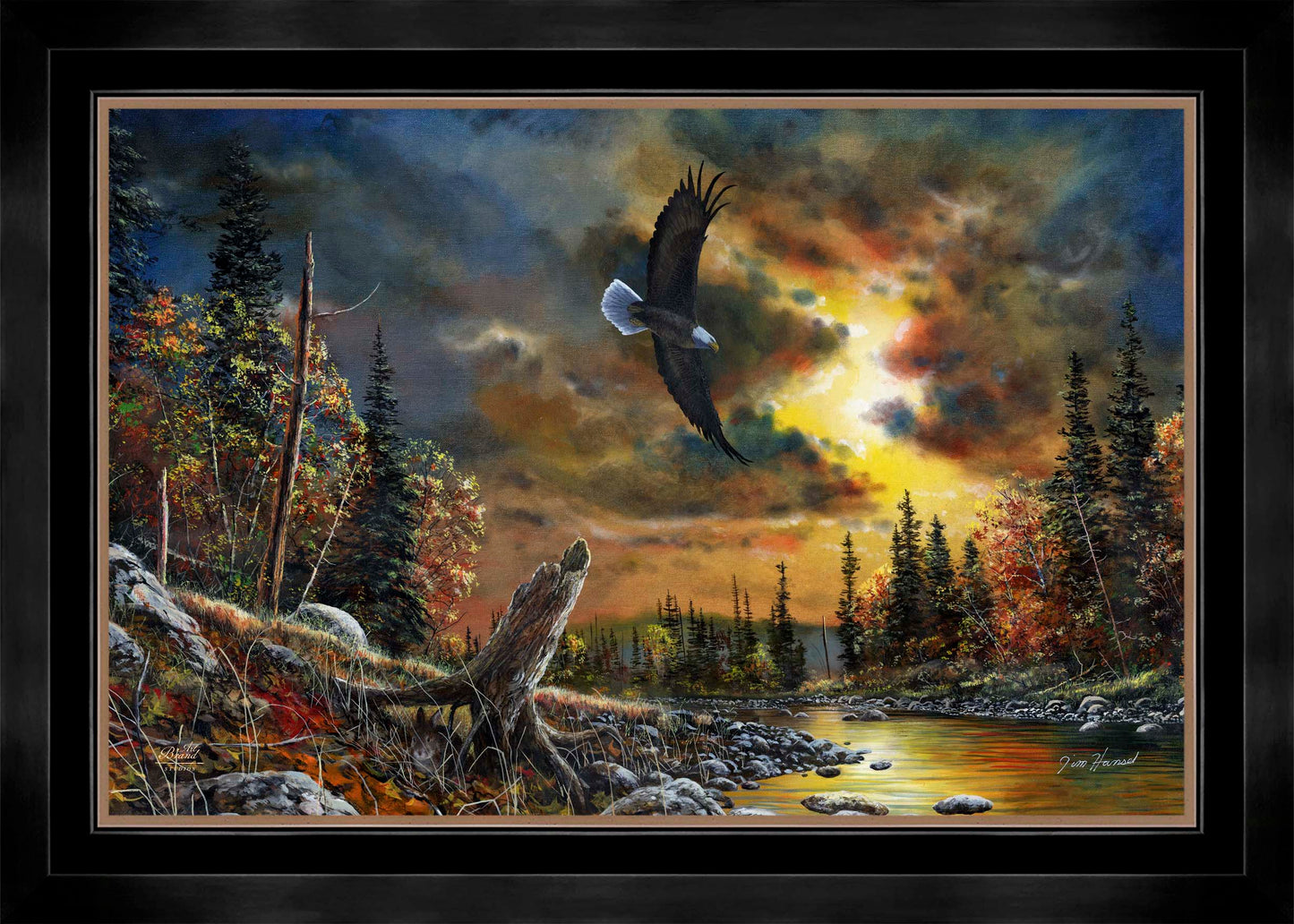 Watchful Eyes - Limited Edition Canvas