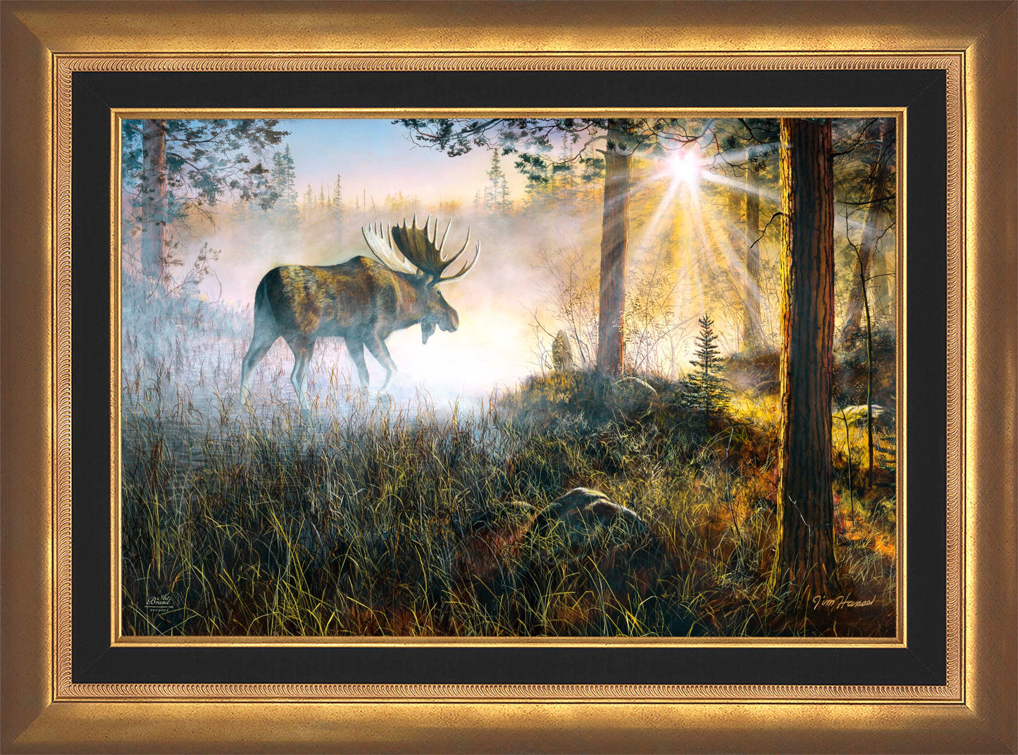 Walk In The Mist - Limited Edition Canvas