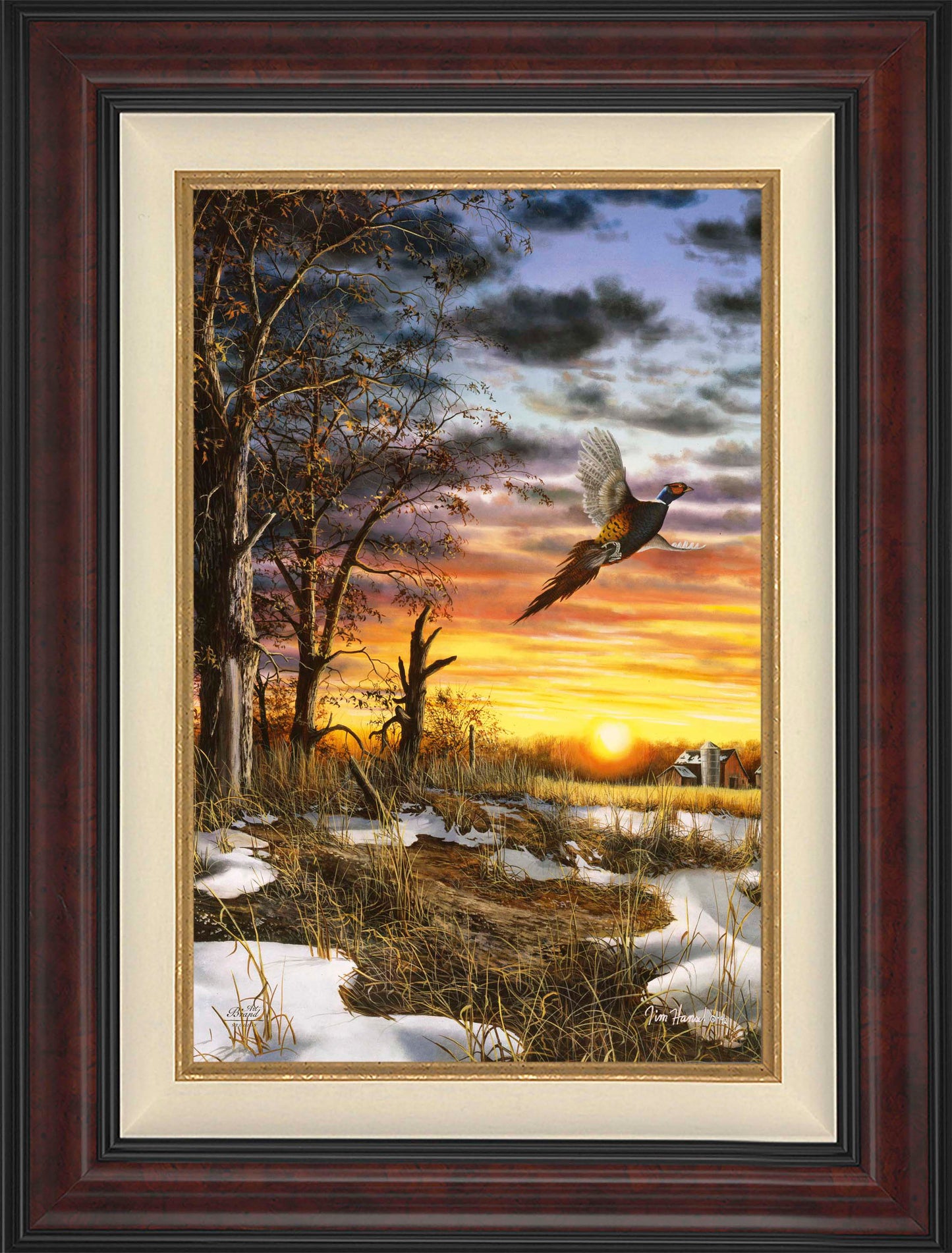 Autumn Ringneck - Limited Edition Canvas