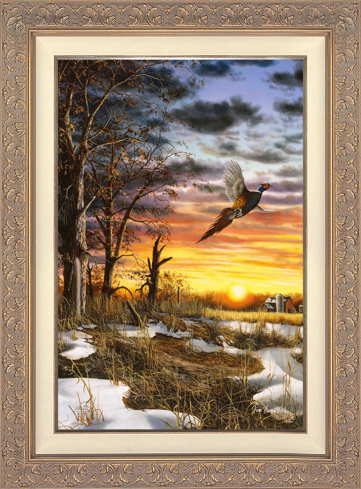 Autumn Ringneck - Limited Edition Canvas