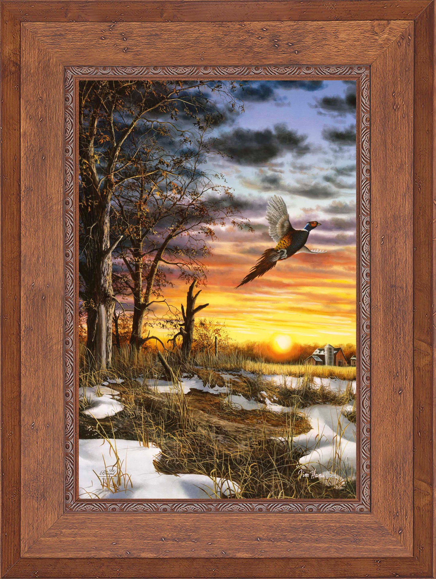 Autumn Ringneck - Limited Edition Canvas