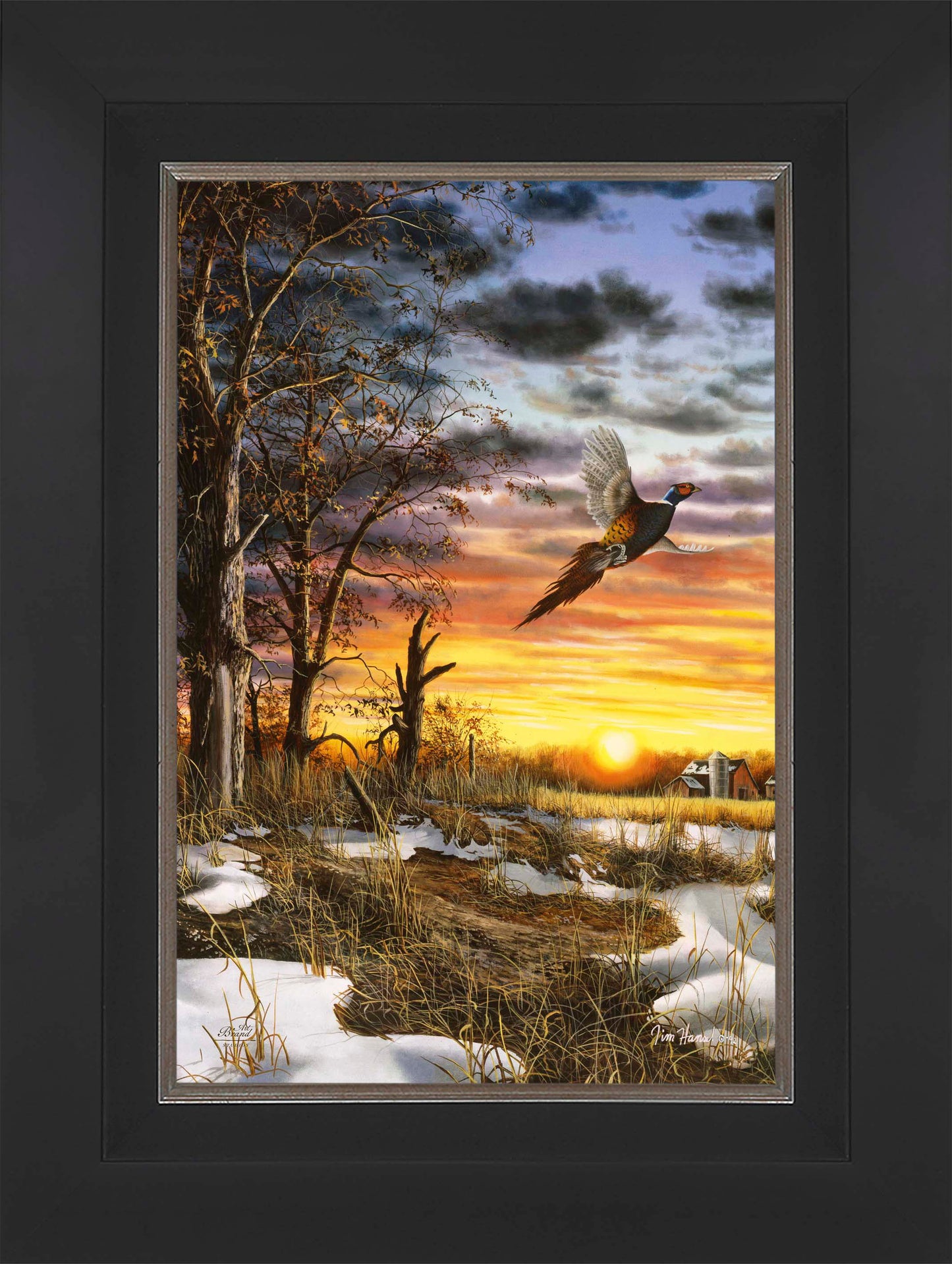 Autumn Ringneck - Limited Edition Canvas