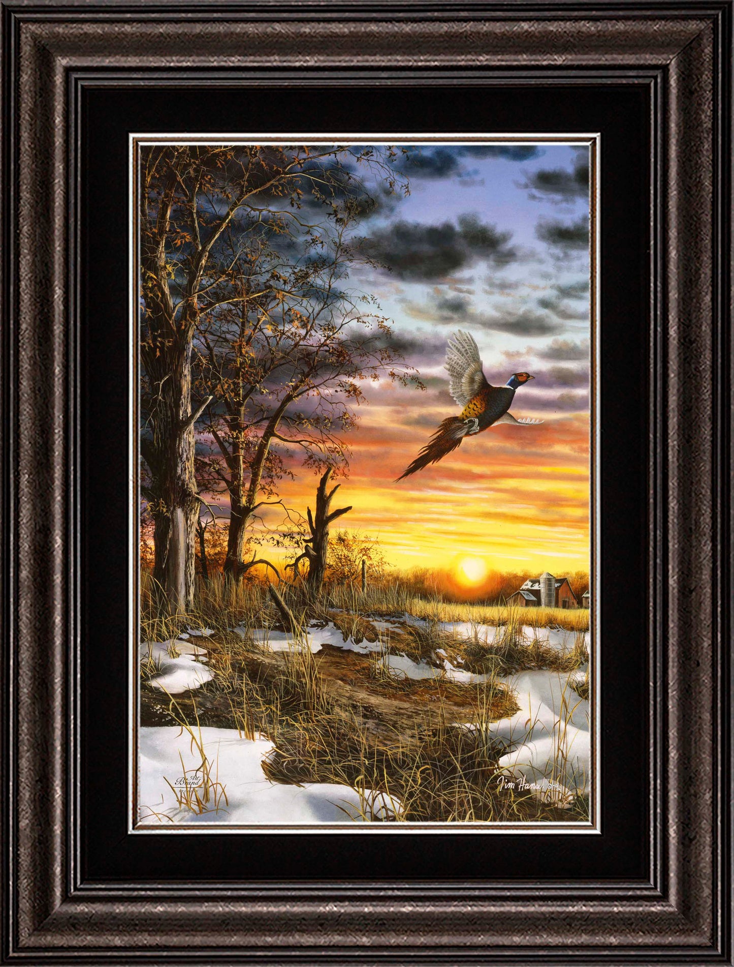 Autumn Ringneck - Limited Edition Canvas