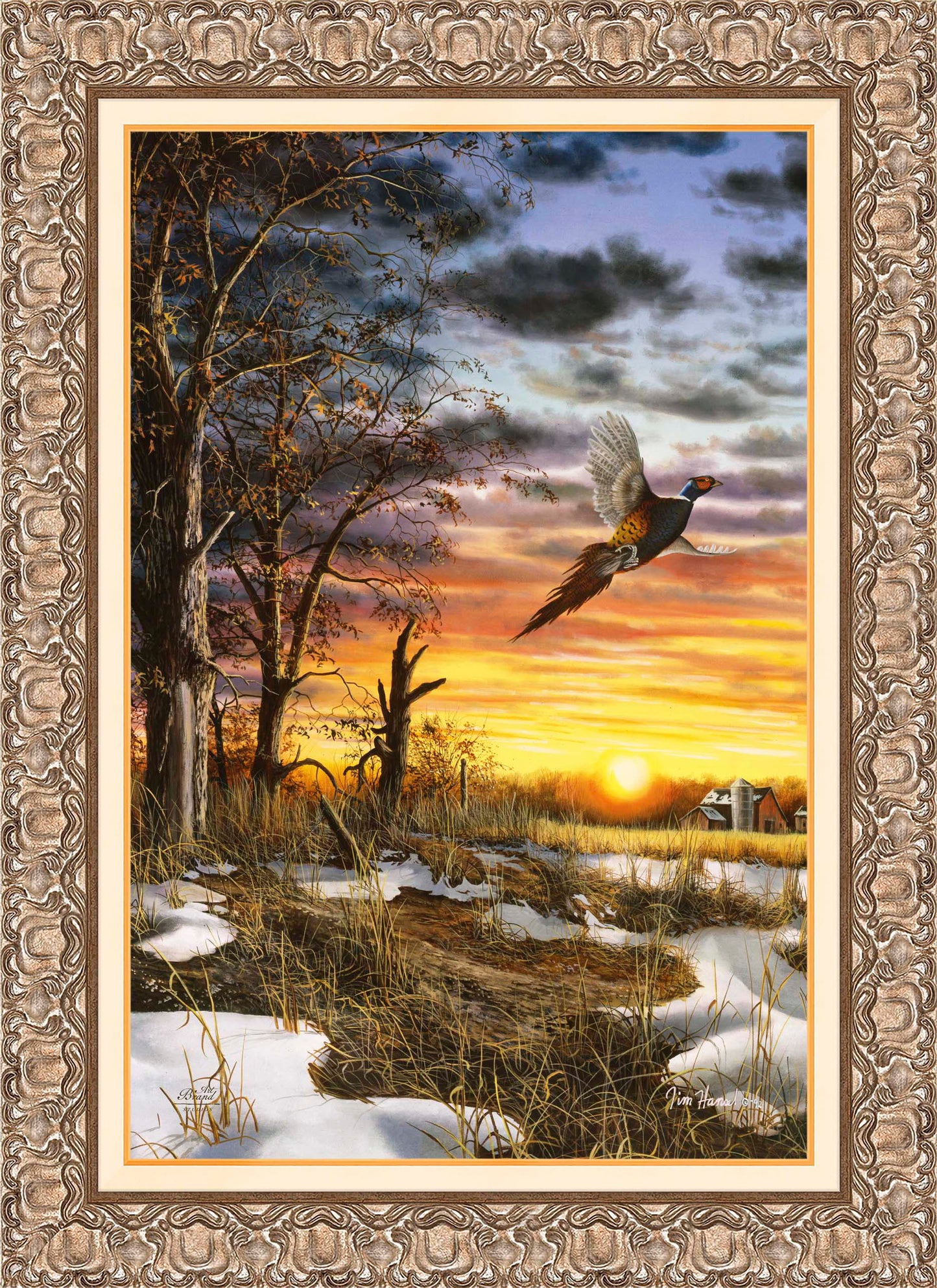 Autumn Ringneck - Limited Edition Canvas