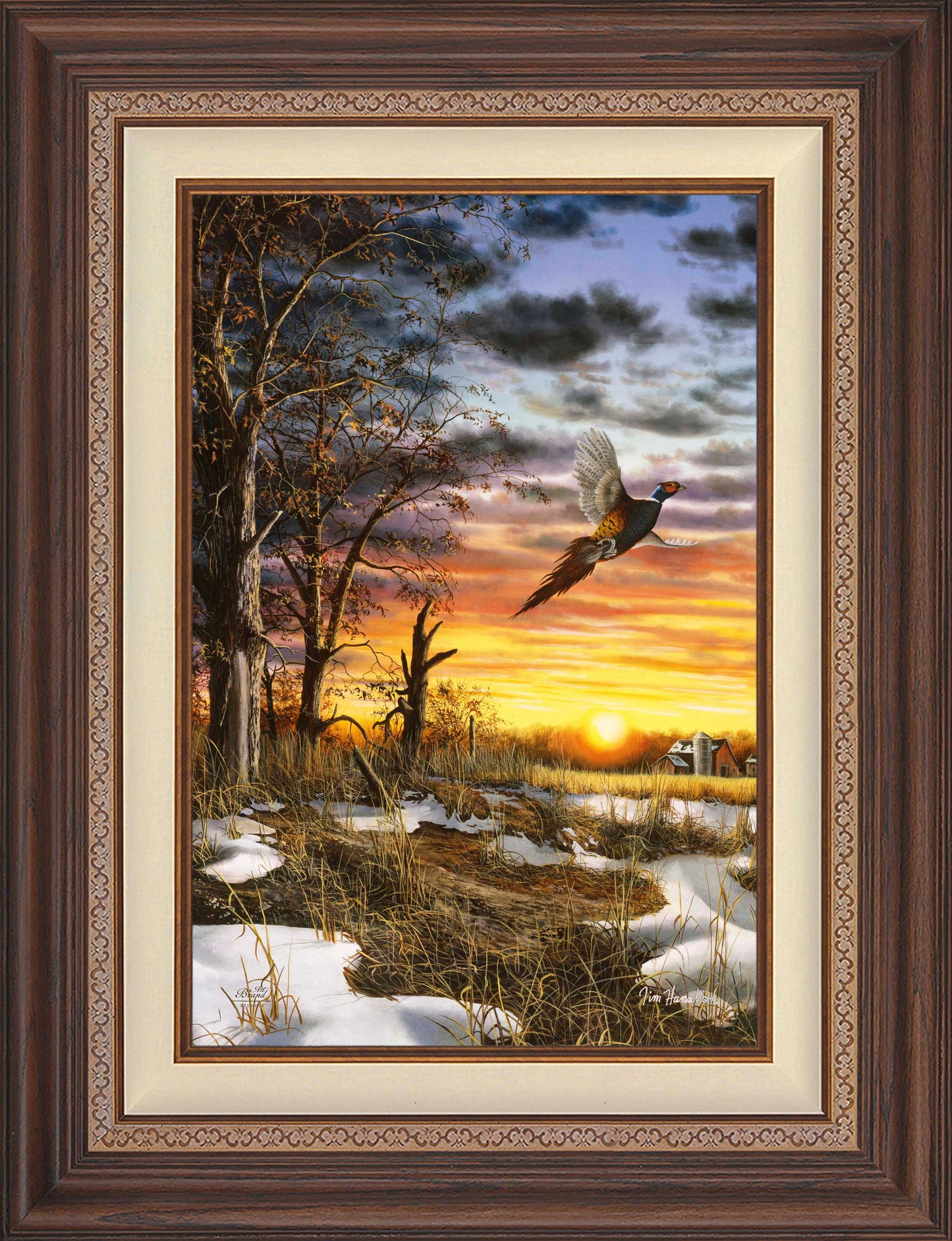 Autumn Ringneck - Limited Edition Canvas