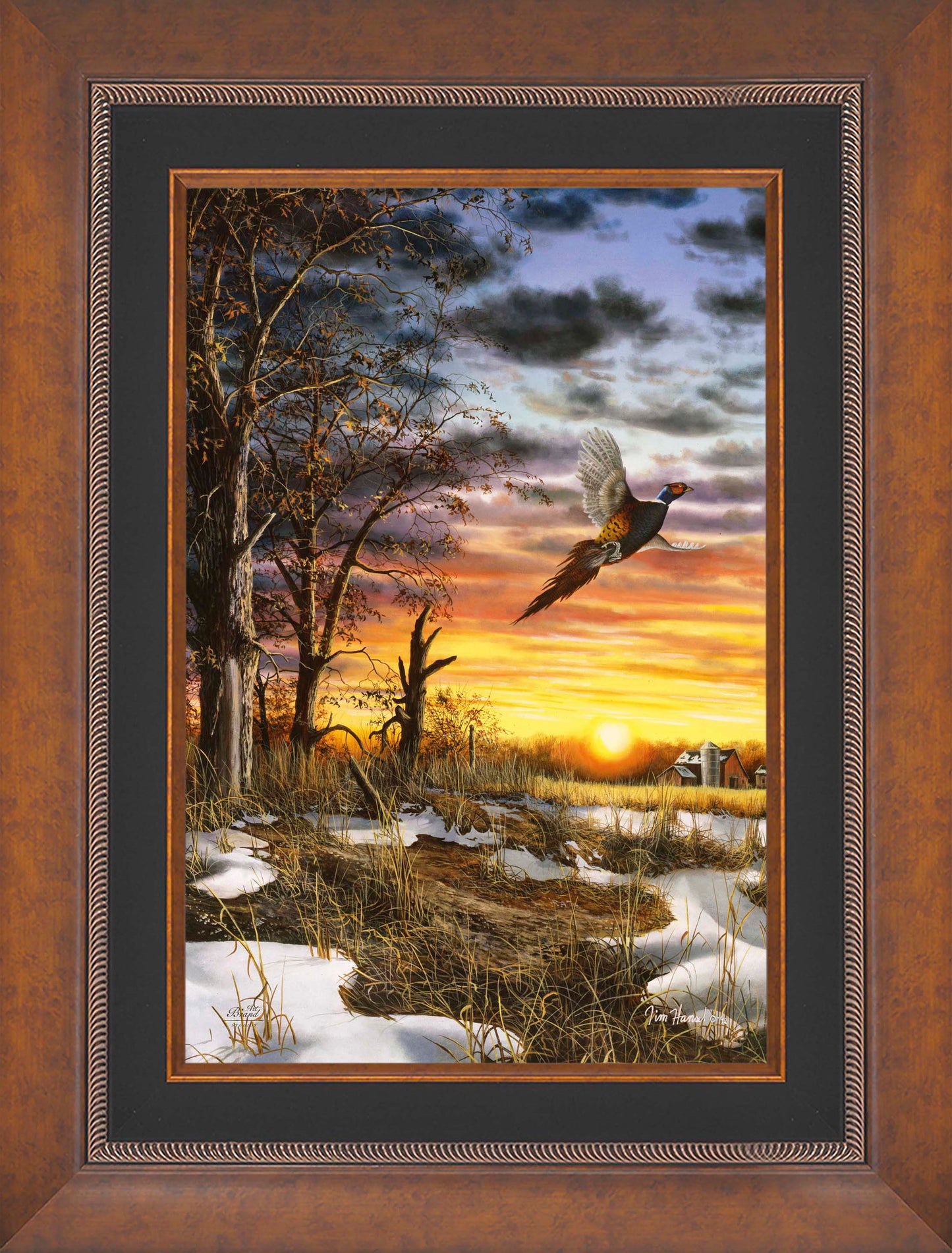 Autumn Ringneck - Limited Edition Canvas