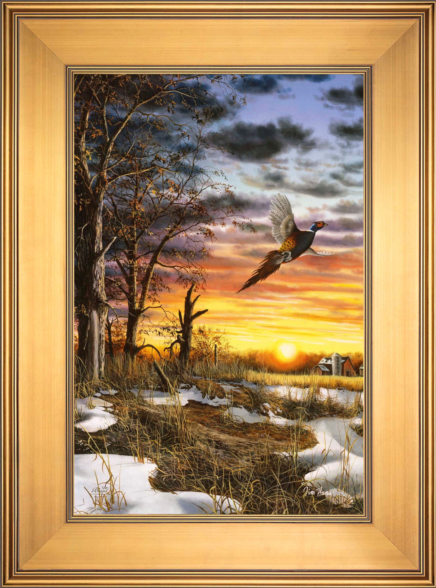 Autumn Ringneck - Limited Edition Canvas