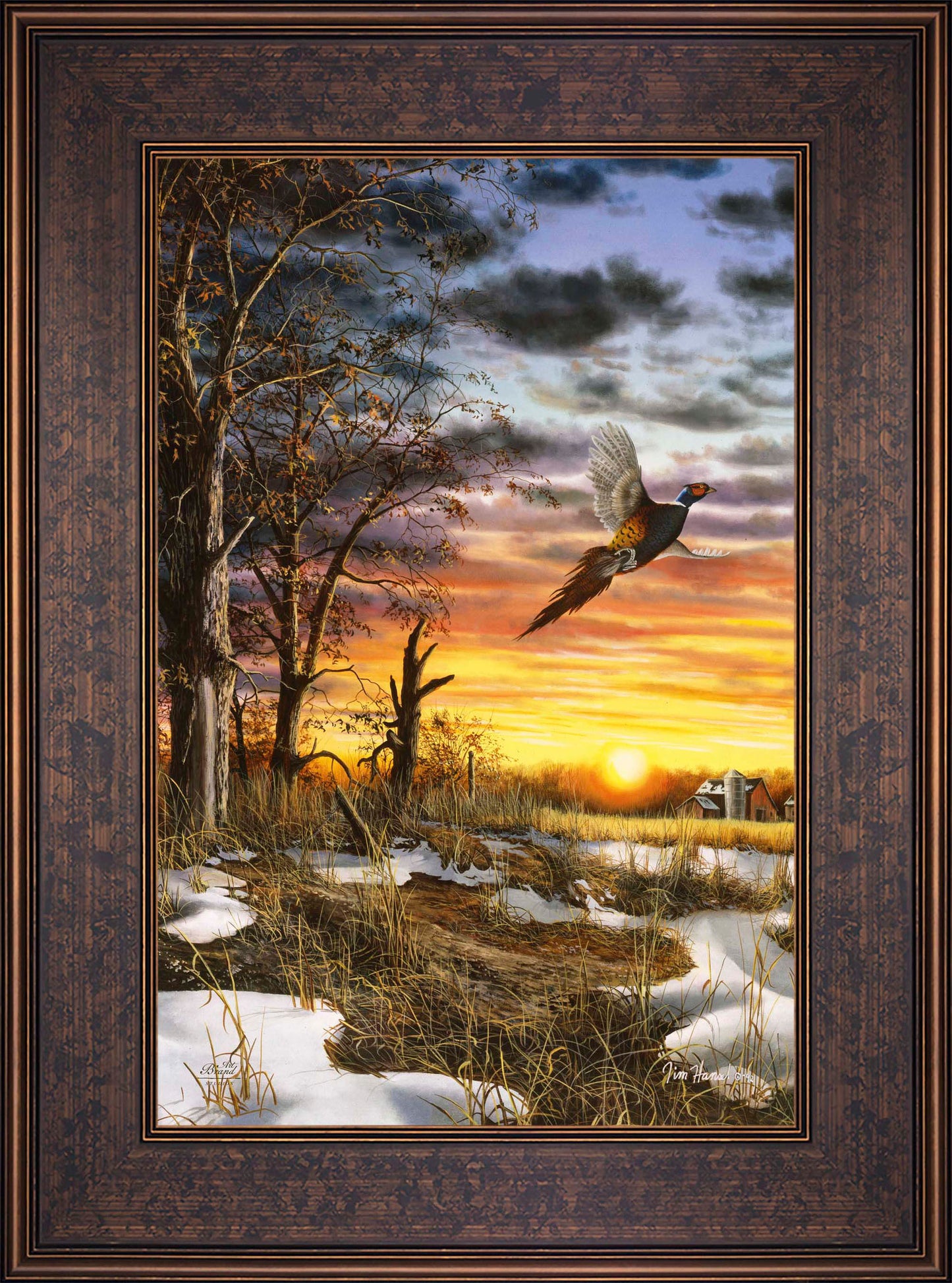 Autumn Ringneck - Limited Edition Canvas