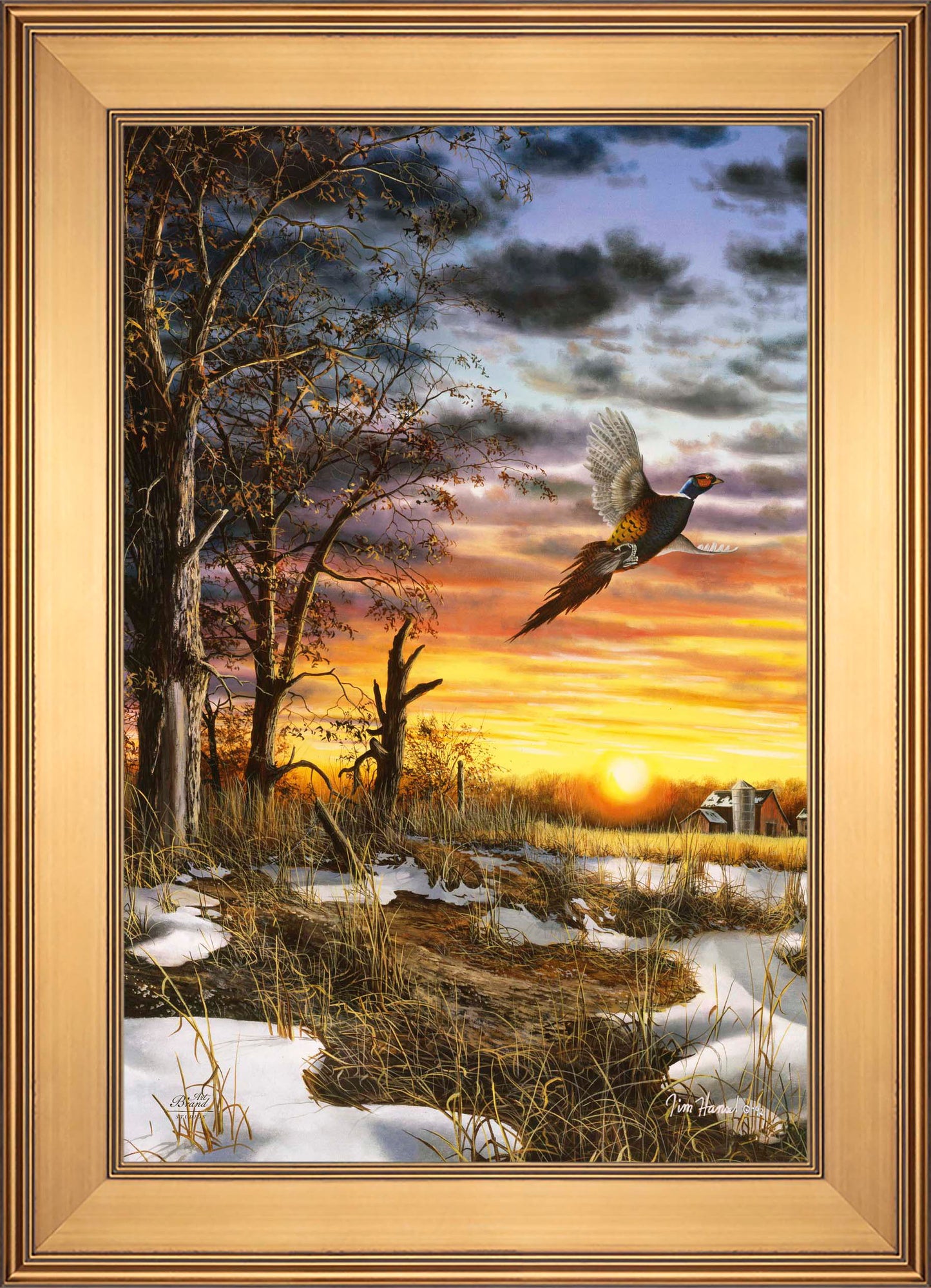 Autumn Ringneck - Limited Edition Canvas