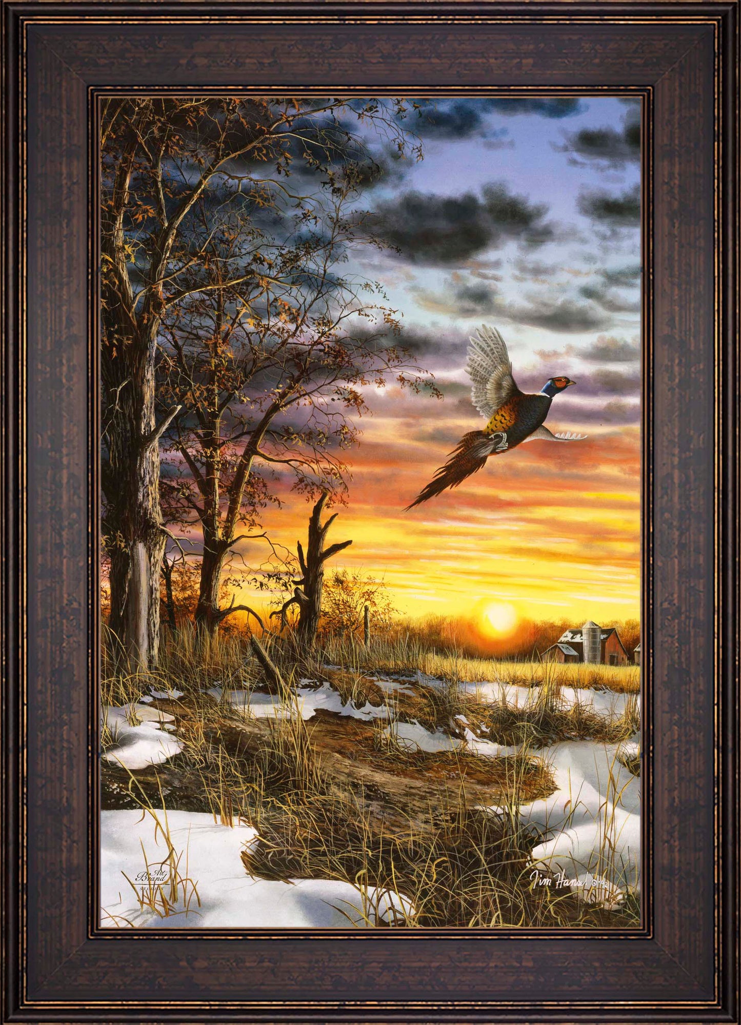 Autumn Ringneck - Limited Edition Canvas