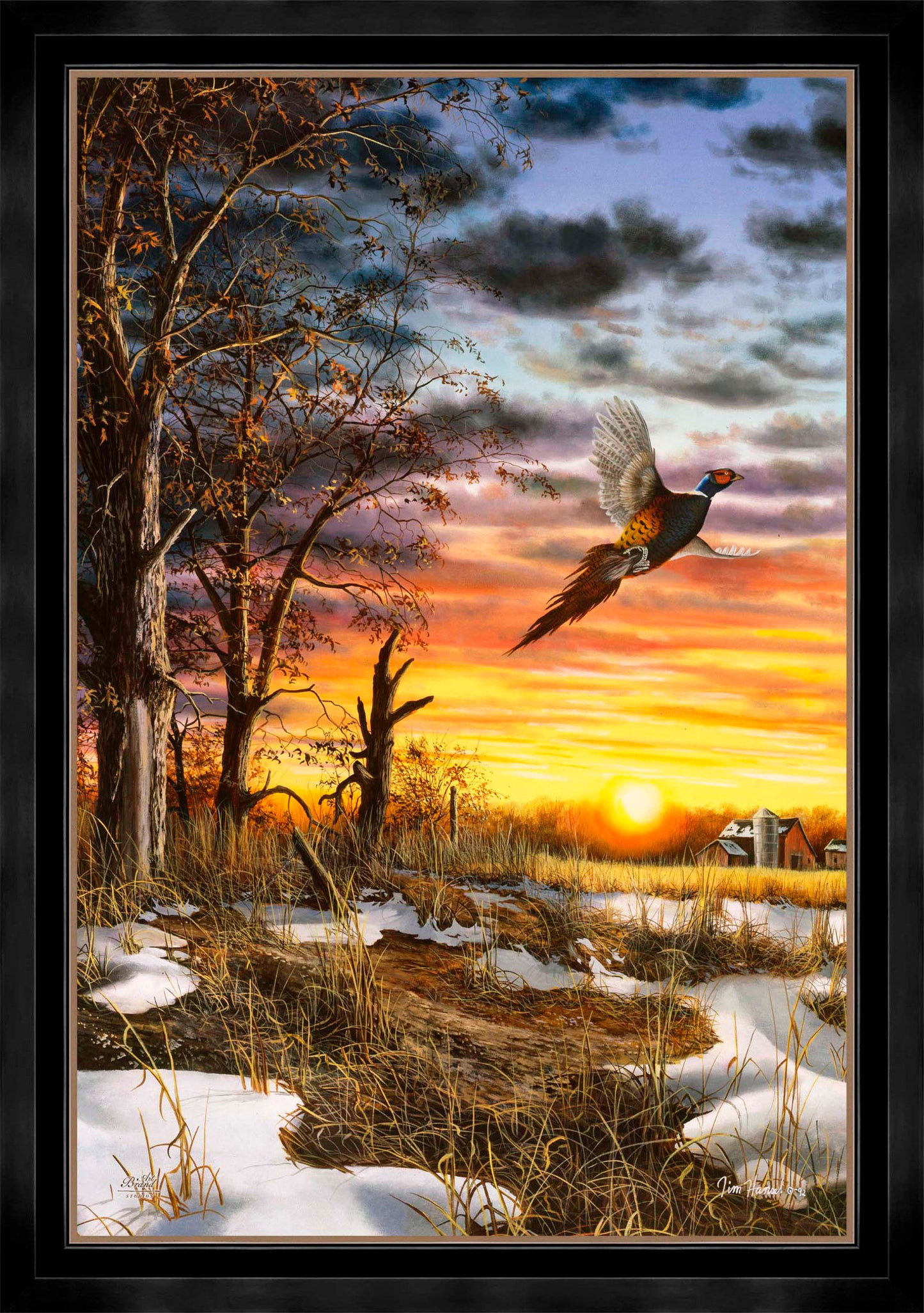 Autumn Ringneck - Limited Edition Canvas