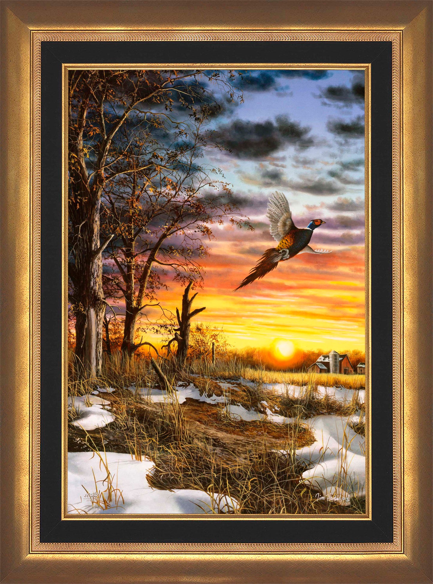 Autumn Ringneck - Limited Edition Canvas