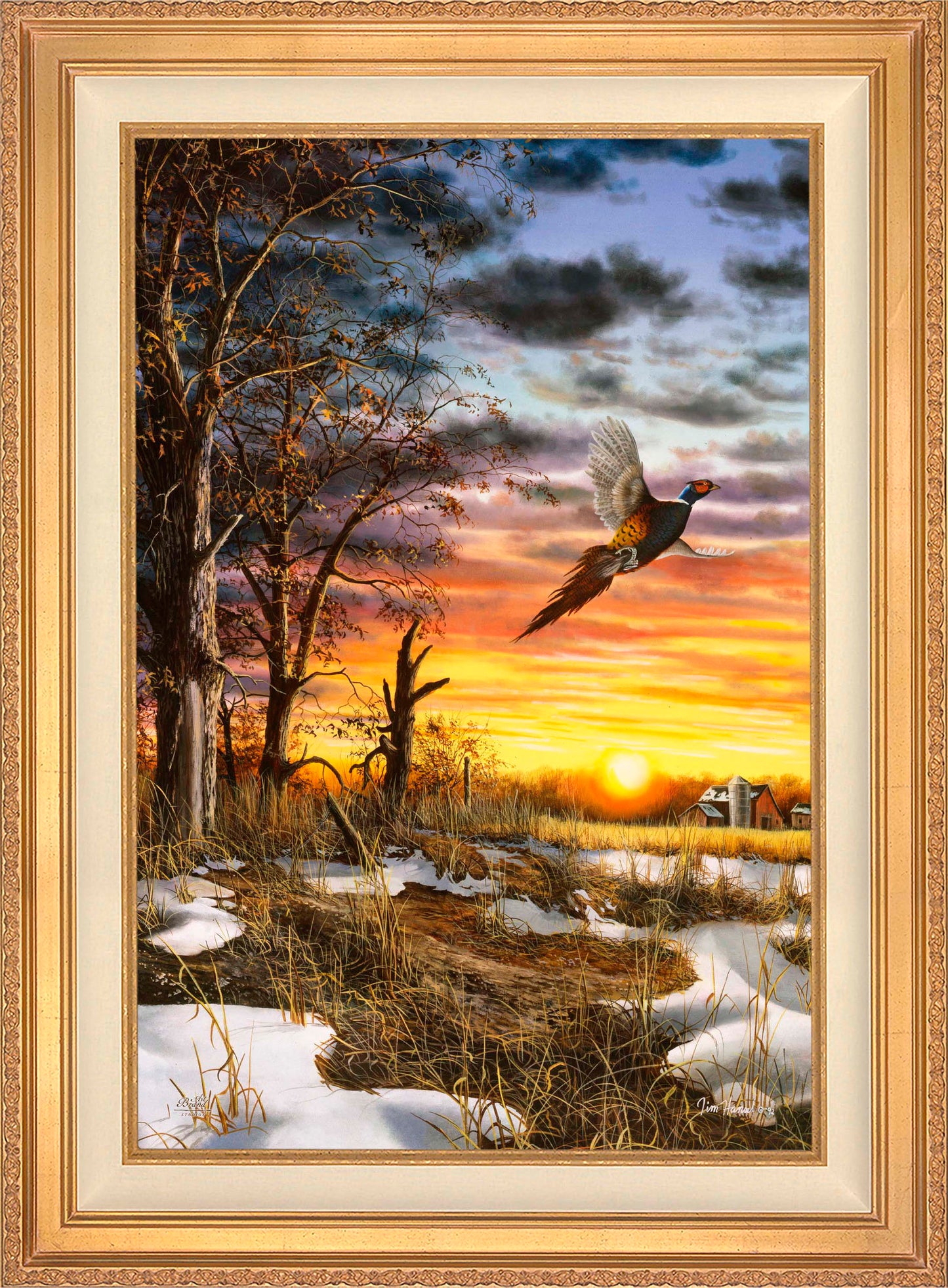 Autumn Ringneck - Limited Edition Canvas