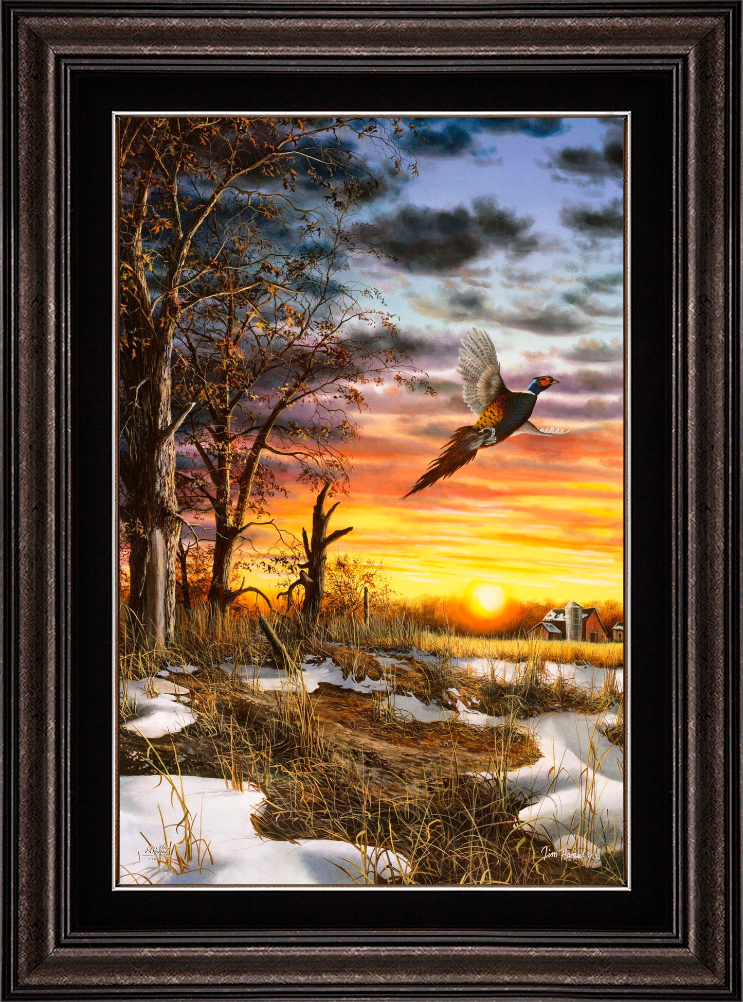 Autumn Ringneck - Limited Edition Canvas