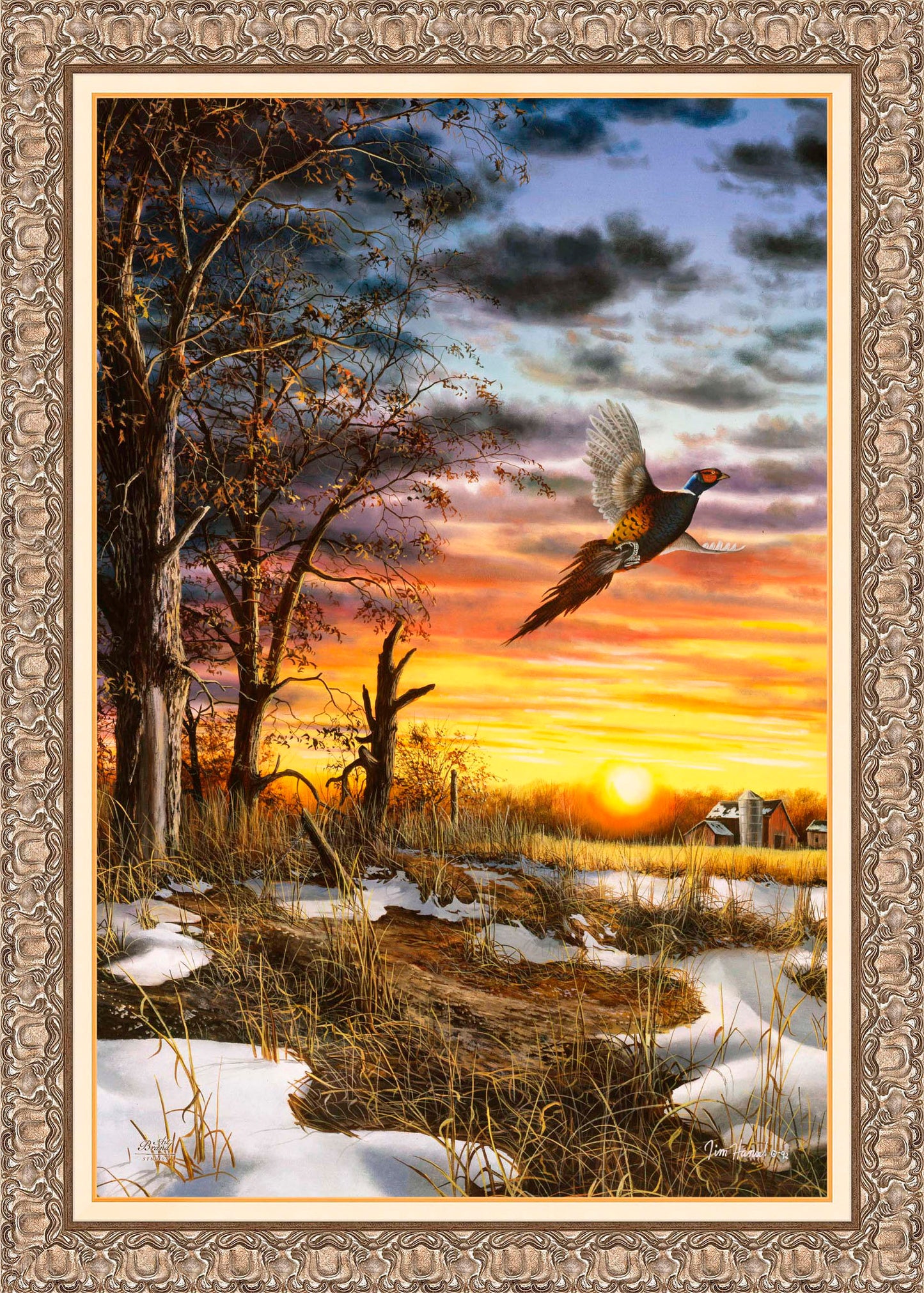 Autumn Ringneck - Limited Edition Canvas