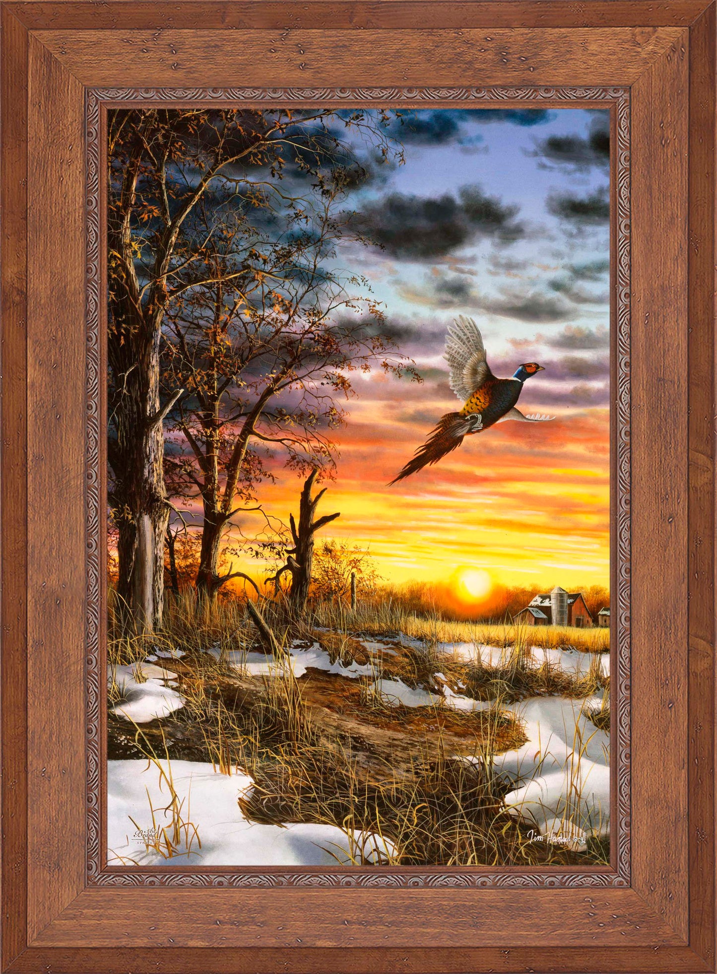 Autumn Ringneck - Limited Edition Canvas