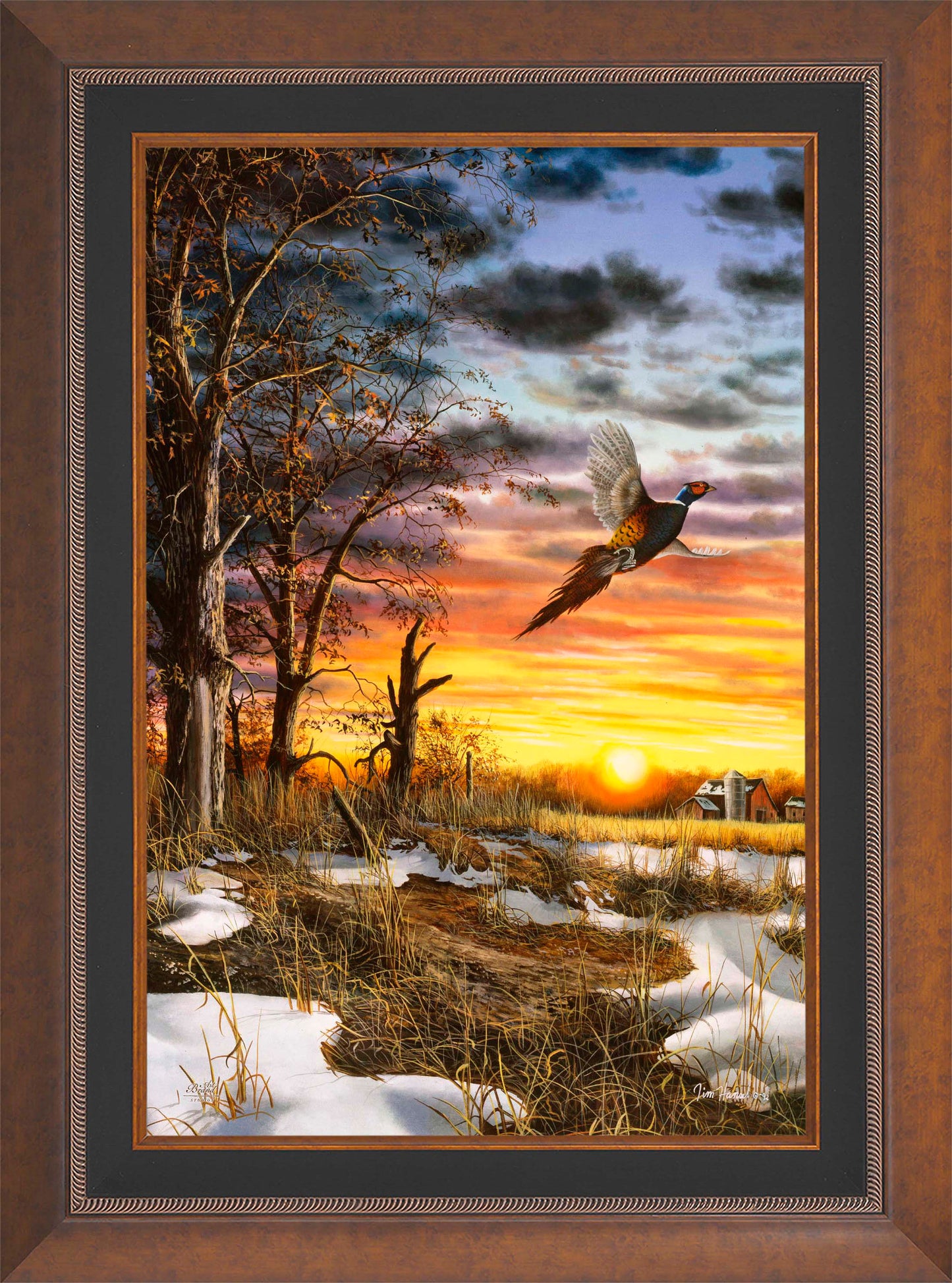 Autumn Ringneck - Limited Edition Canvas