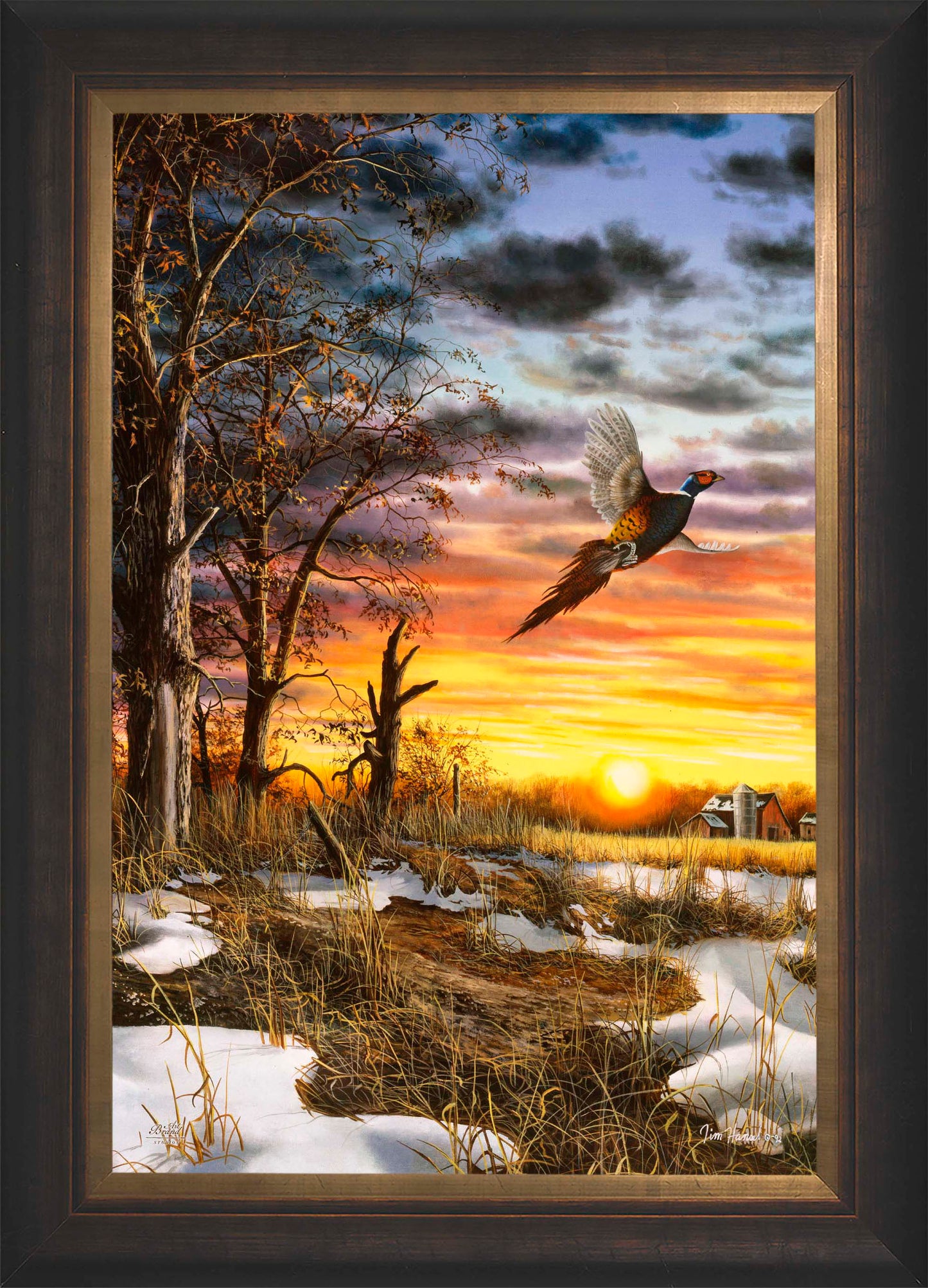 Autumn Ringneck - Limited Edition Canvas