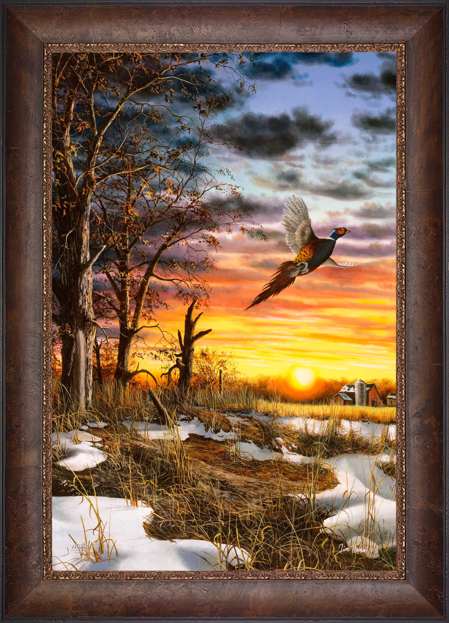 Autumn Ringneck - Limited Edition Canvas