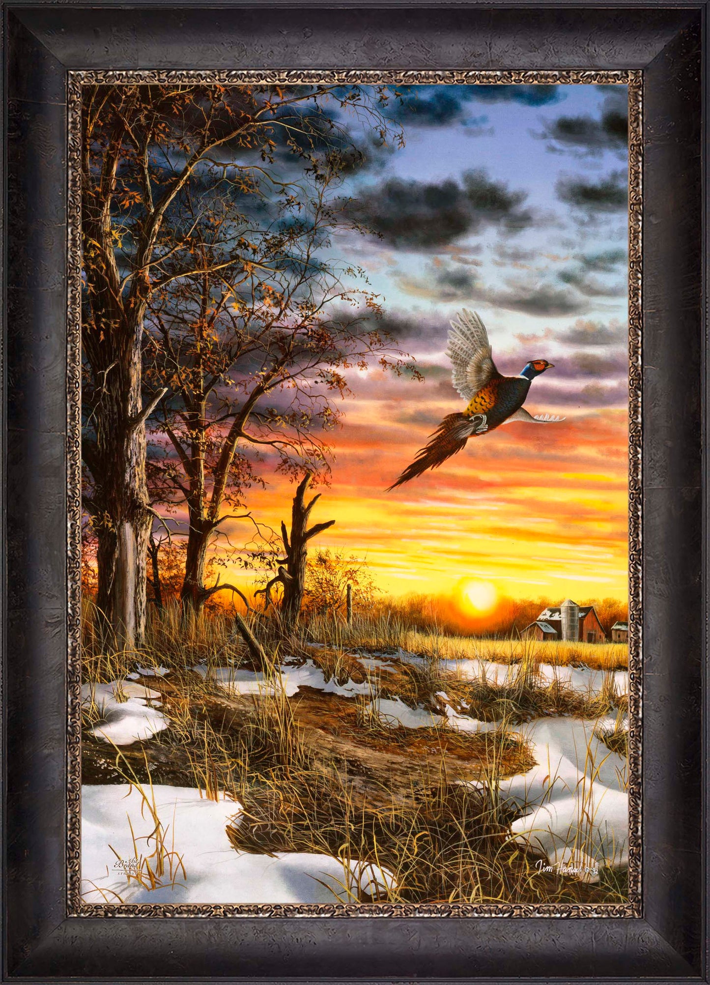 Autumn Ringneck - Limited Edition Canvas