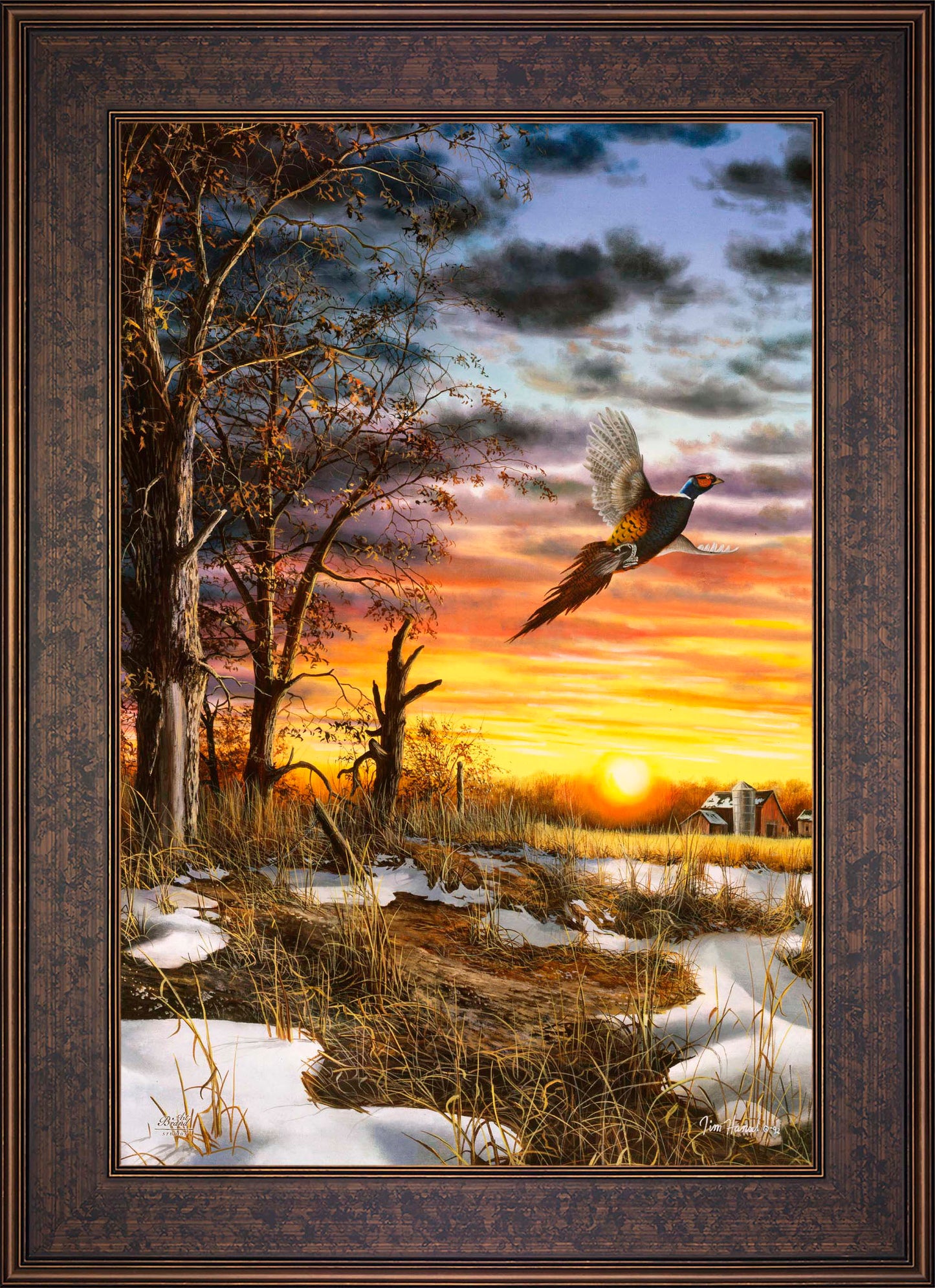 Autumn Ringneck - Limited Edition Canvas