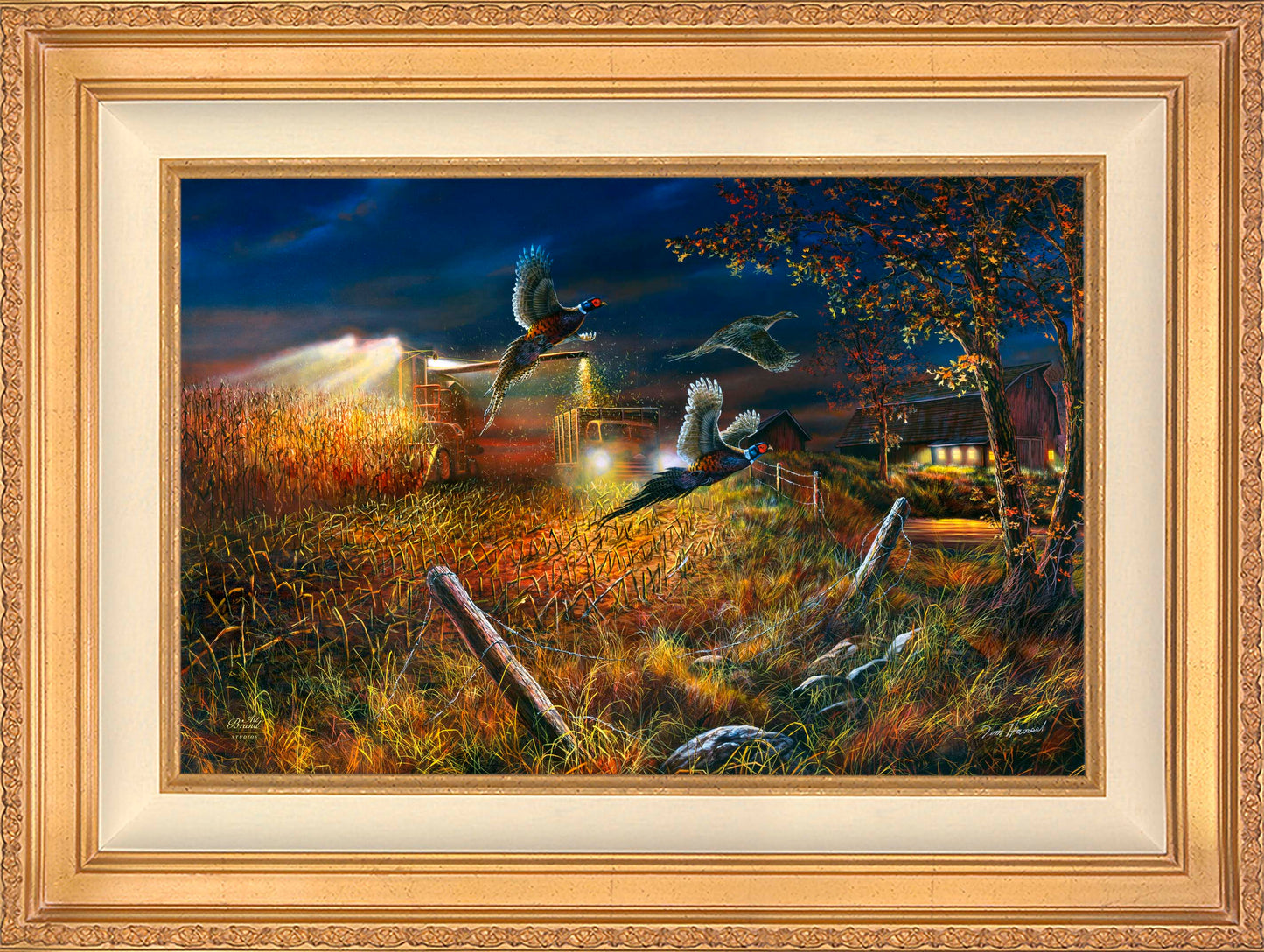Field Of Dreams - Limited Edition Canvas