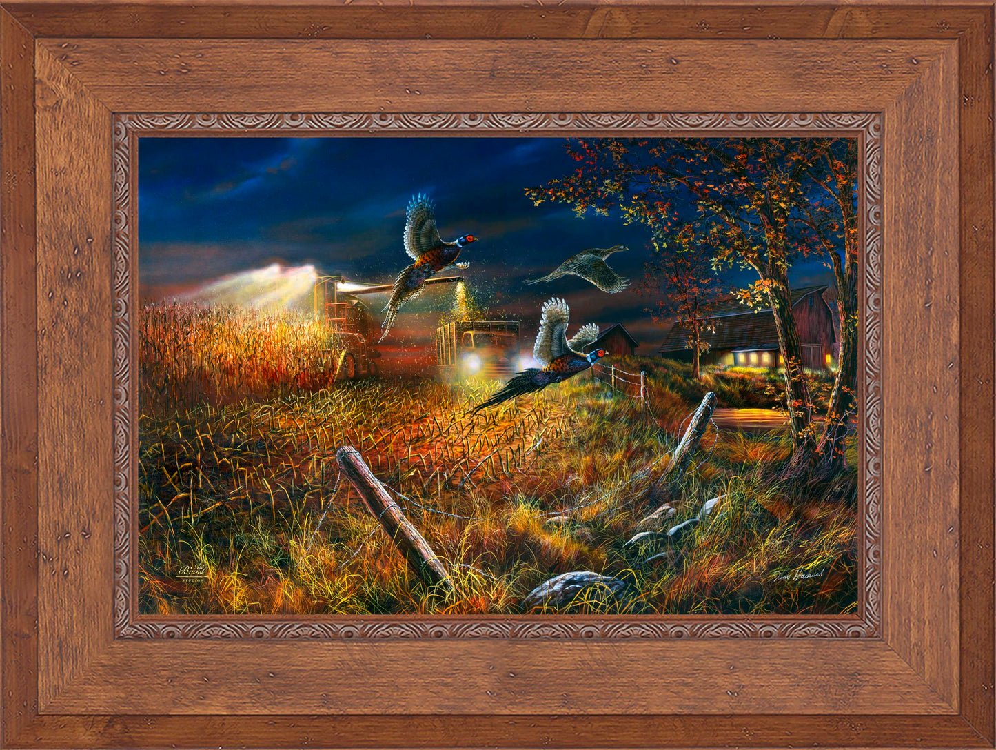 Field Of Dreams - Limited Edition Canvas