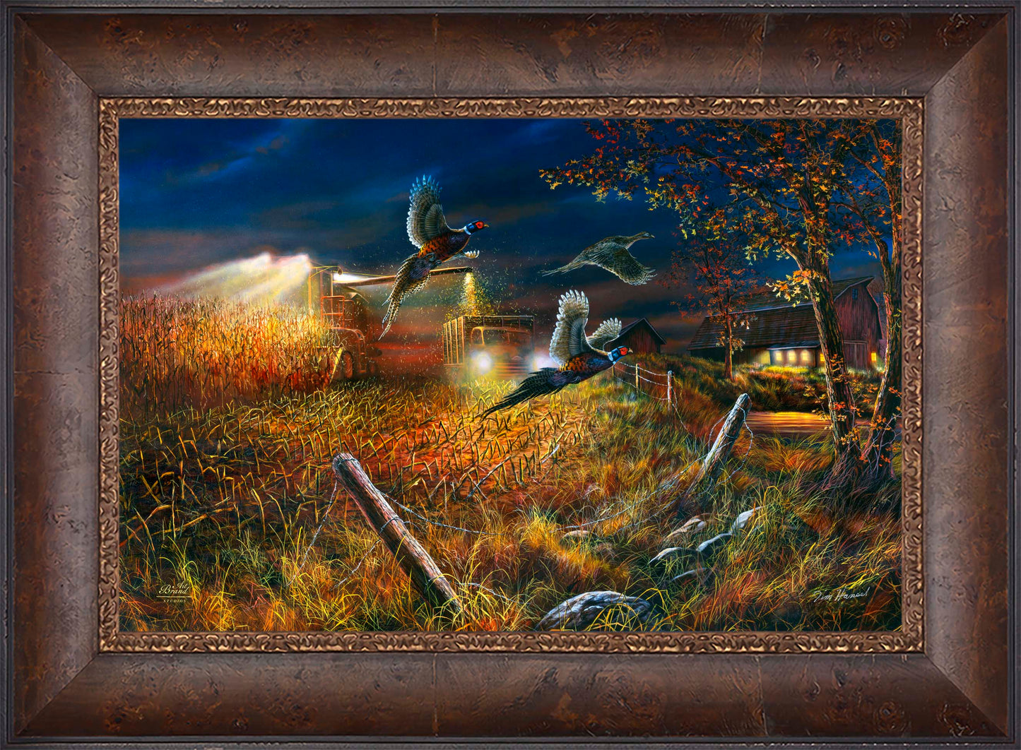 Field Of Dreams - Limited Edition Canvas