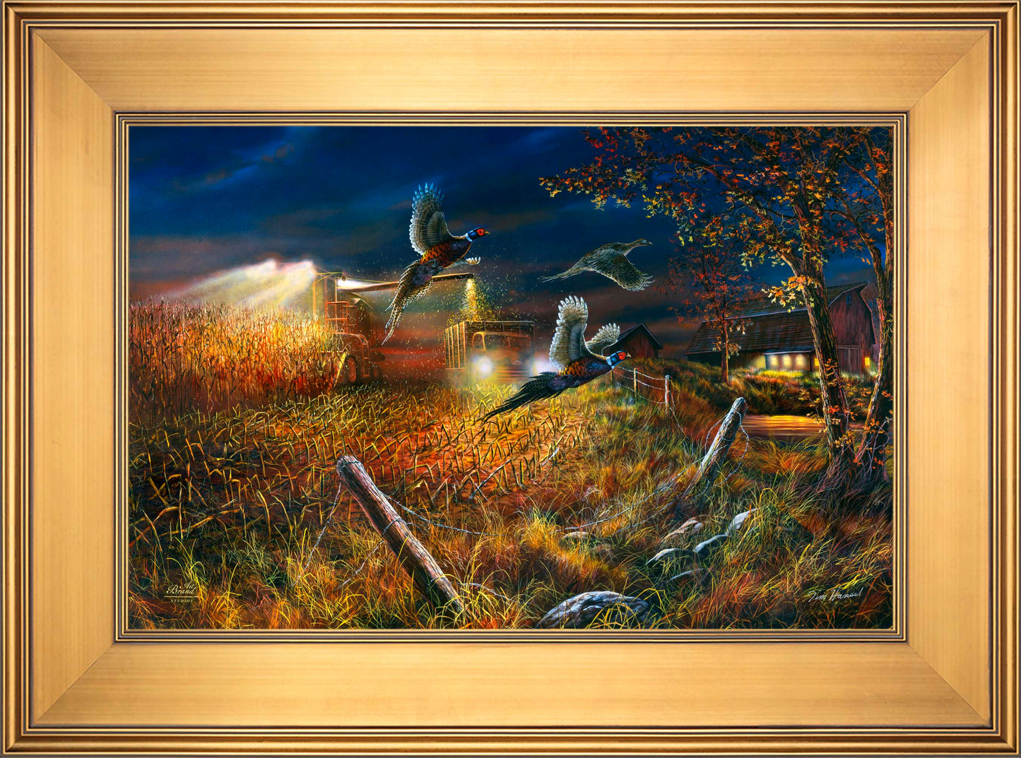 Field Of Dreams - Limited Edition Canvas