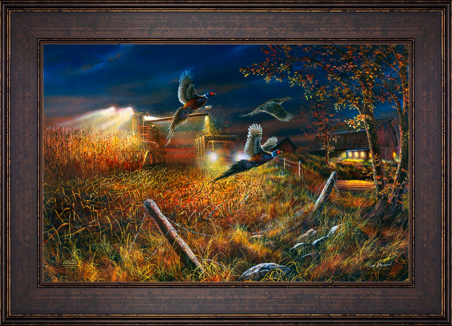 Field Of Dreams - Limited Edition Canvas