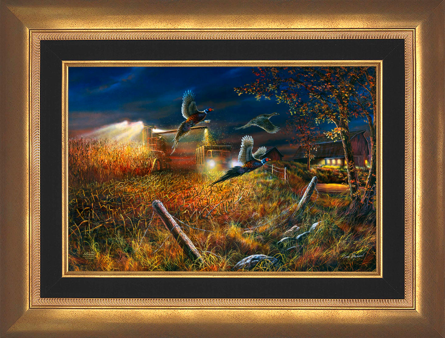 Field Of Dreams - Limited Edition Canvas