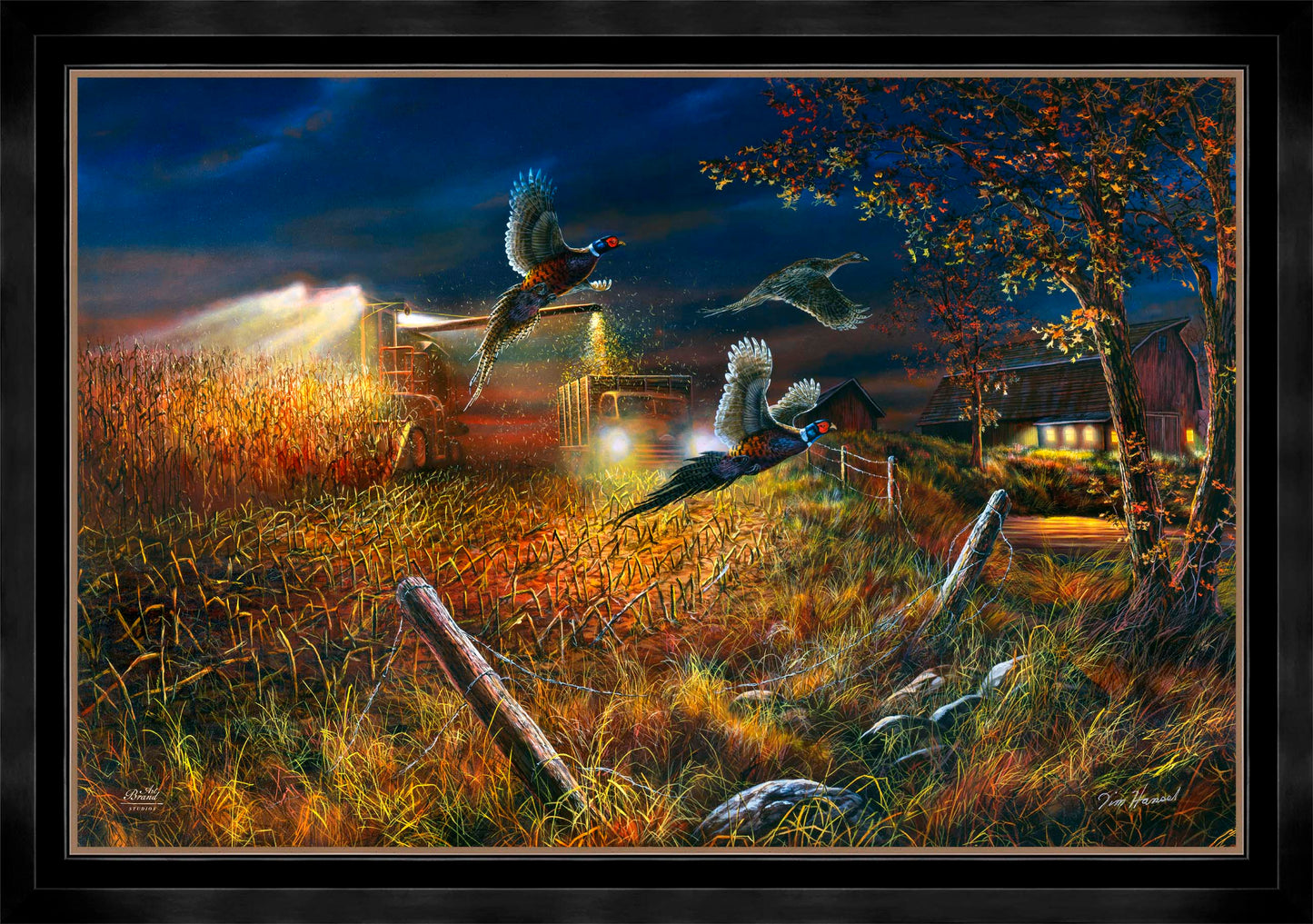 Field Of Dreams - Limited Edition Canvas