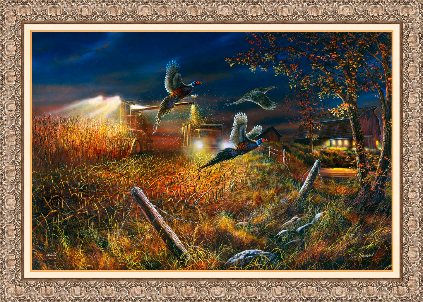Field Of Dreams - Limited Edition Canvas