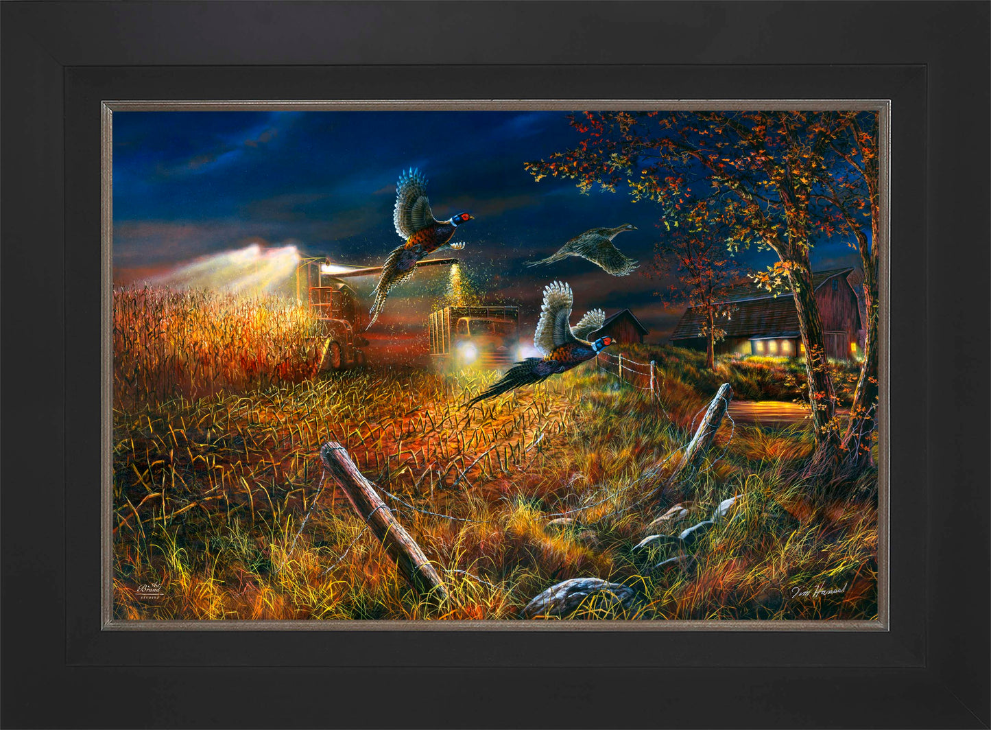 Field Of Dreams - Limited Edition Canvas