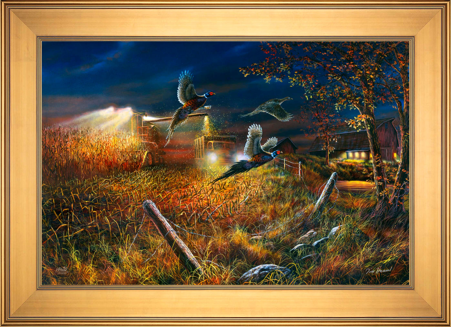 Field Of Dreams - Limited Edition Canvas