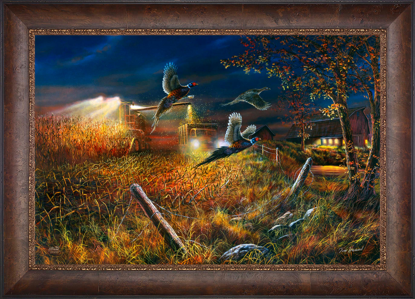 Field Of Dreams - Limited Edition Canvas