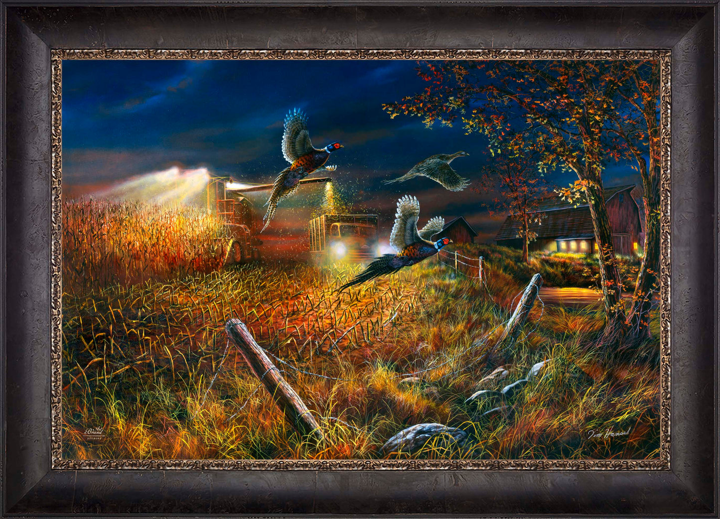 Field Of Dreams - Limited Edition Canvas