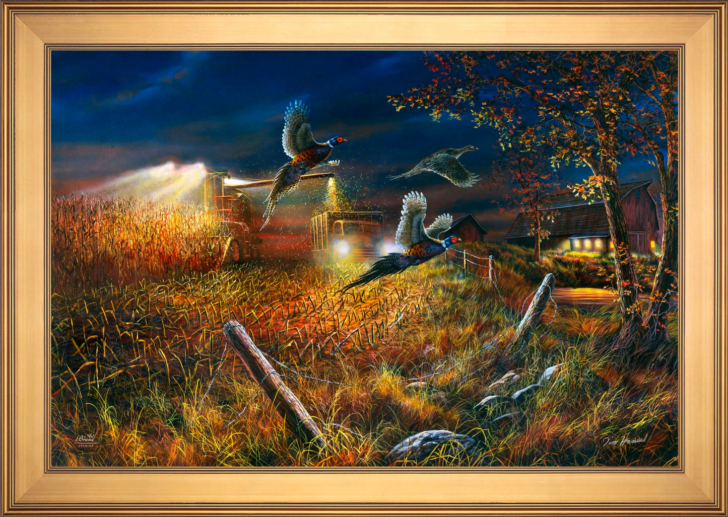 Field Of Dreams - Limited Edition Canvas