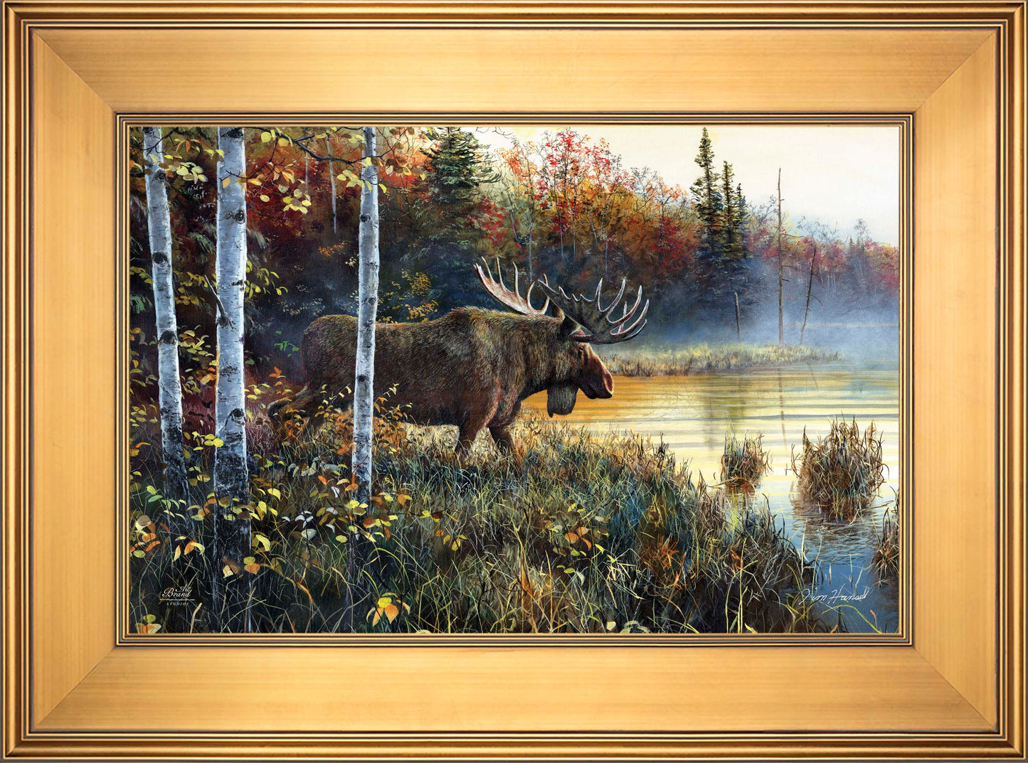 Master Of His Domain - Limited Edition Canvas