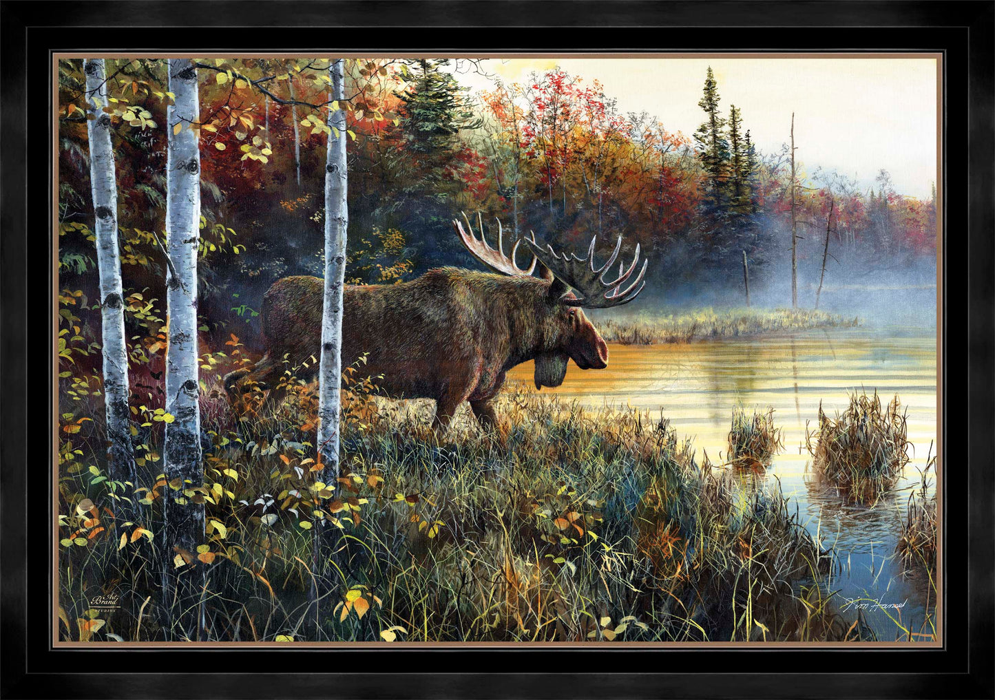 Master Of His Domain - Limited Edition Canvas