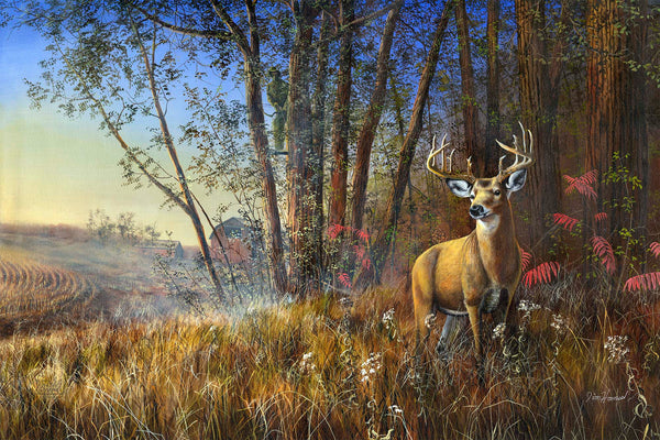 Misty Morning - Limited Edition Canvas