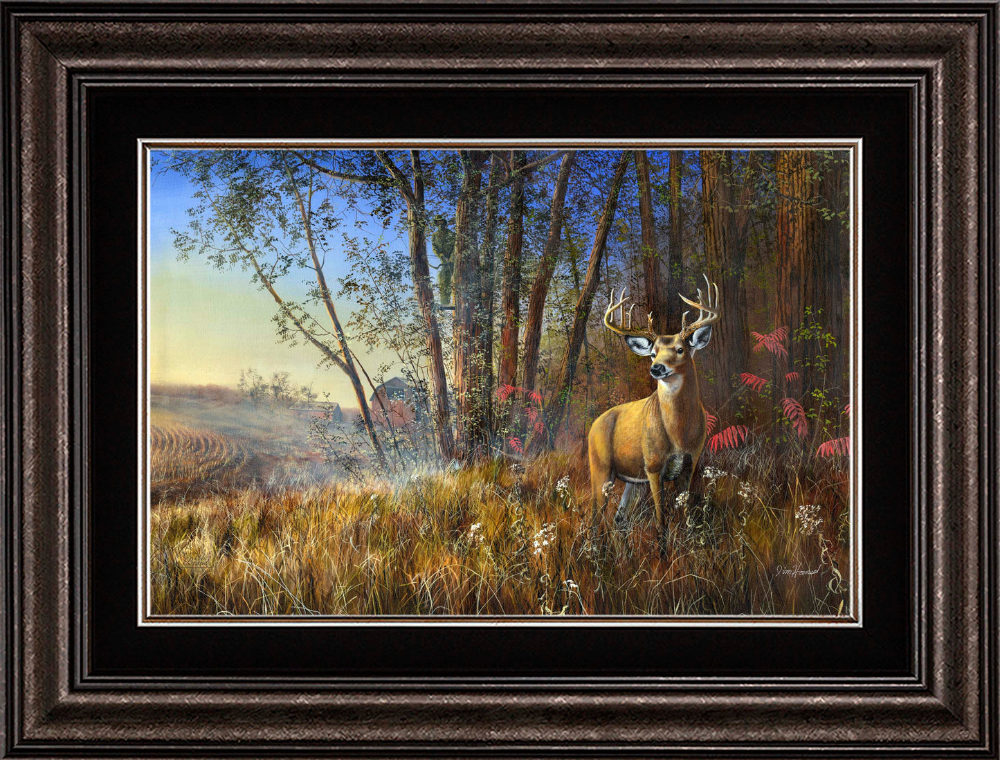 Misty Morning - Limited Edition Canvas
