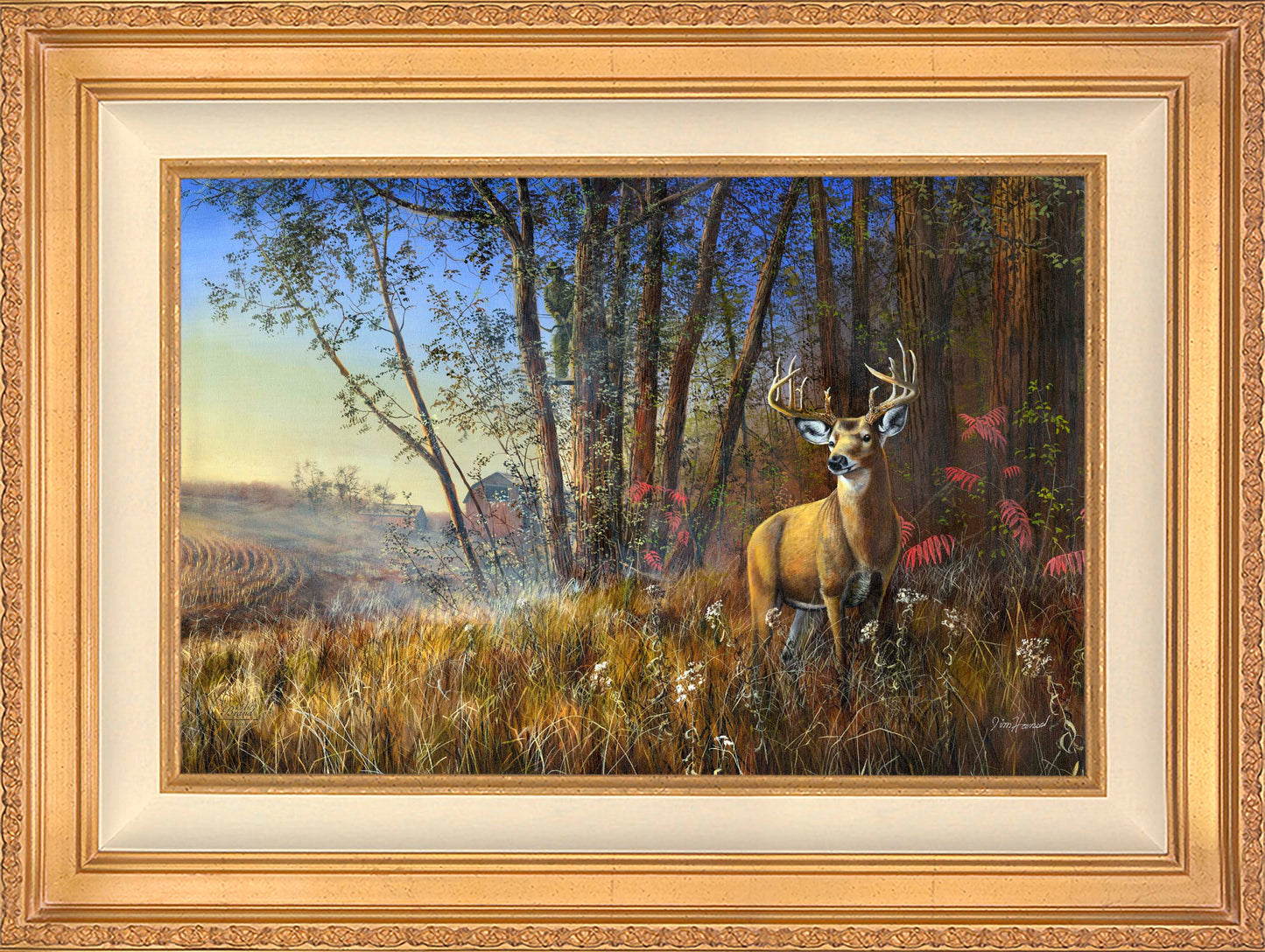 Misty Morning - Limited Edition Canvas