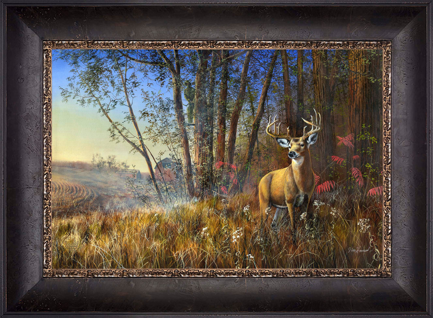 Misty Morning - Limited Edition Canvas