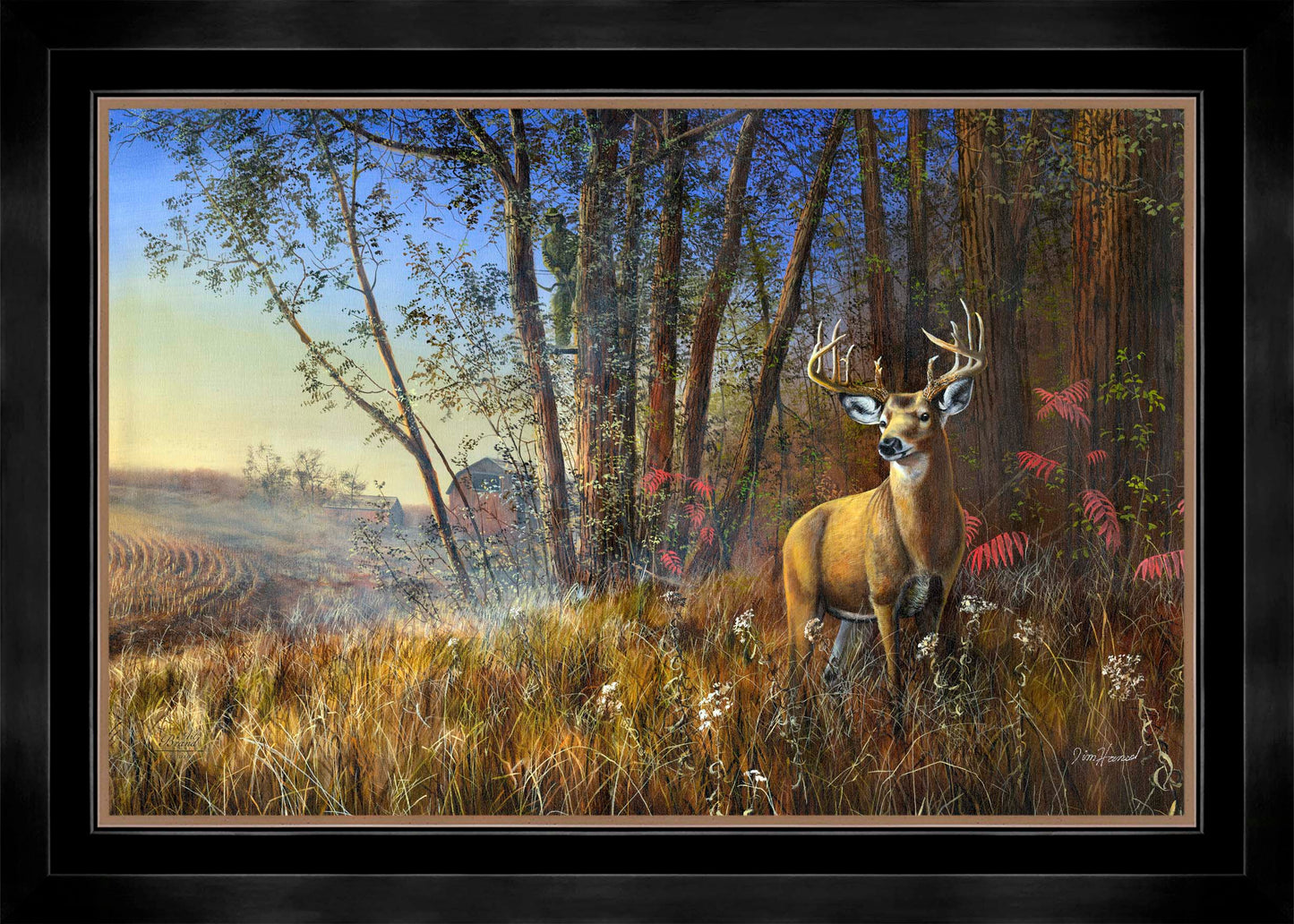 Misty Morning - Limited Edition Canvas
