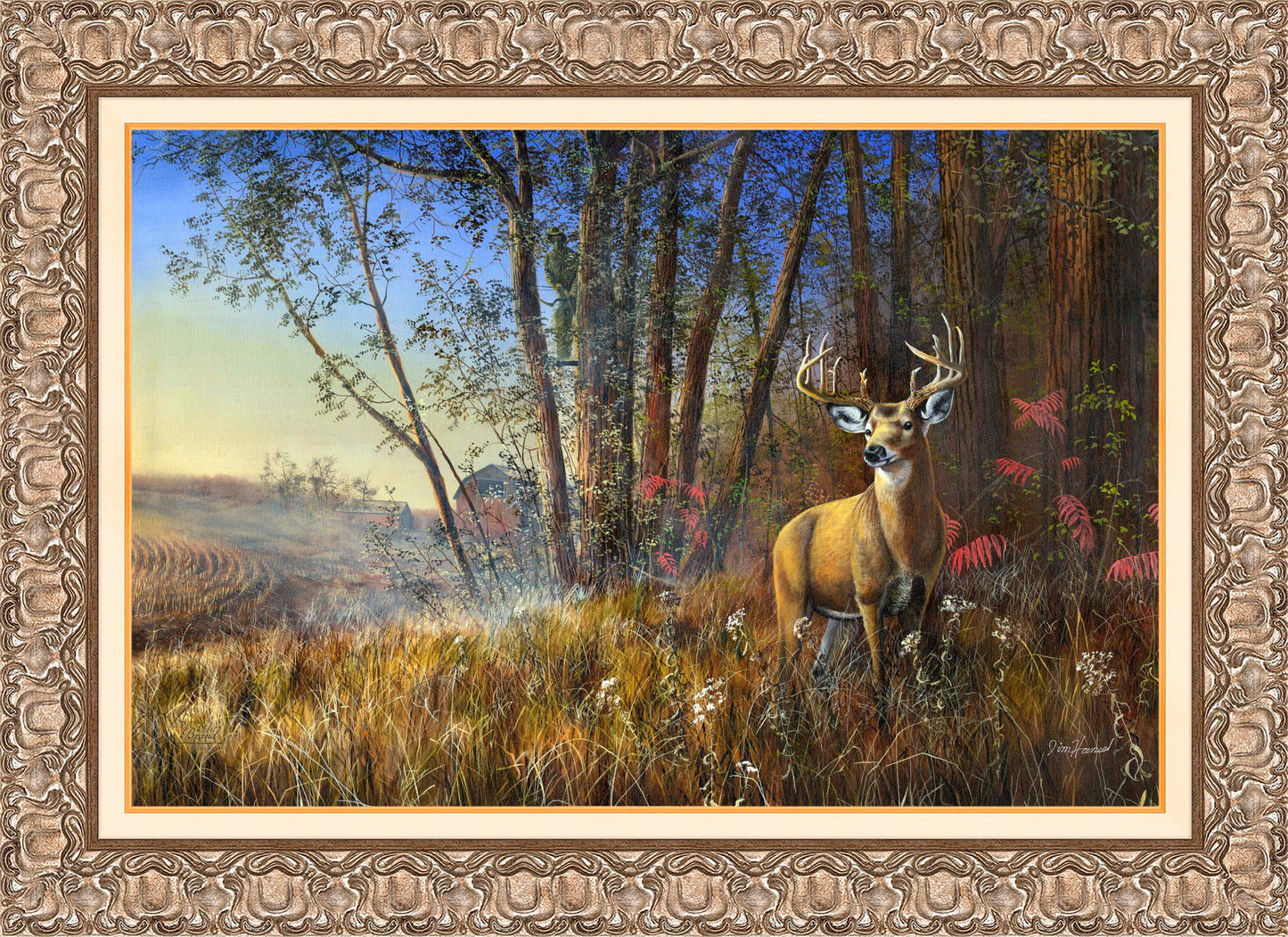 Misty Morning - Limited Edition Canvas