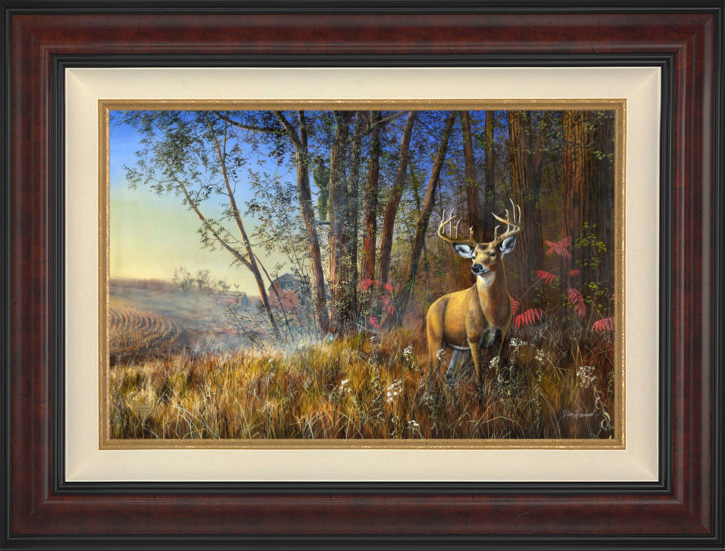 Misty Morning - Limited Edition Canvas