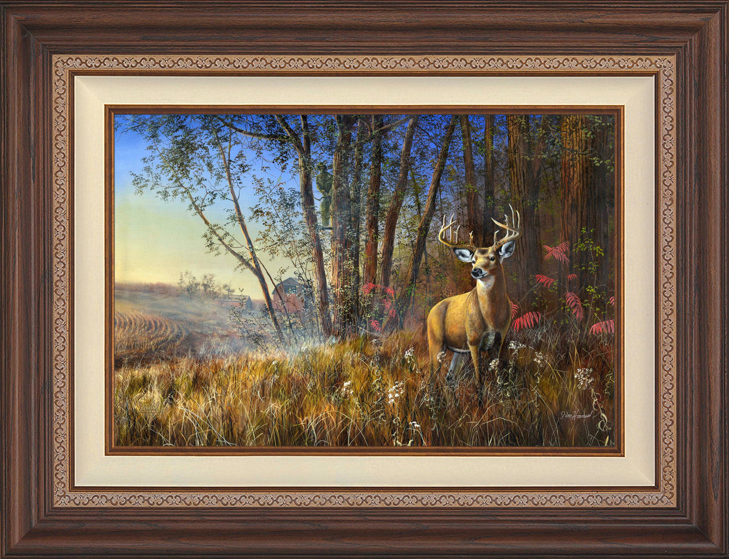 Misty Morning - Limited Edition Canvas