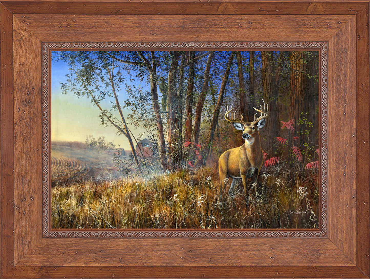 Misty Morning - Limited Edition Canvas